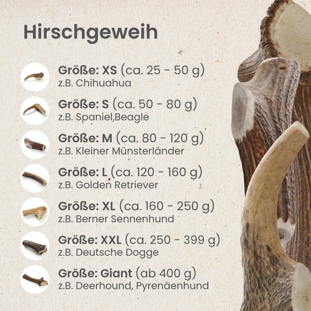 Hirschgeweih-Kauartikel in verschiedenen Größen.