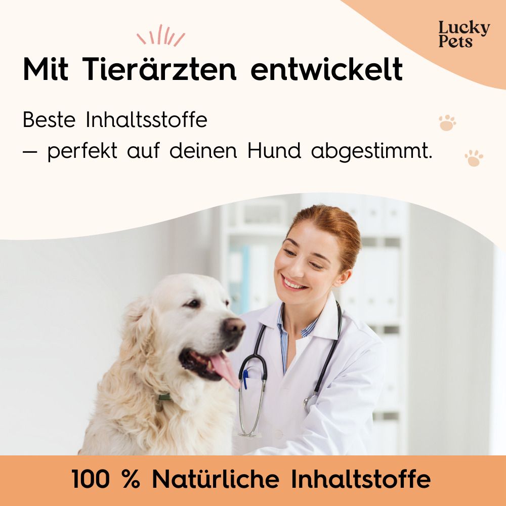 Barf Pulver für Hunde