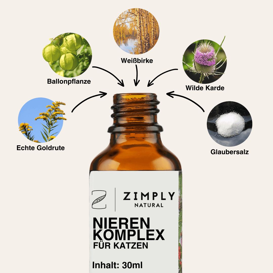 Braune Flasche mit Sprühkopf. Grafische Darstellung von Pflanzen. Text: "Nieren Komplex für Katzen".