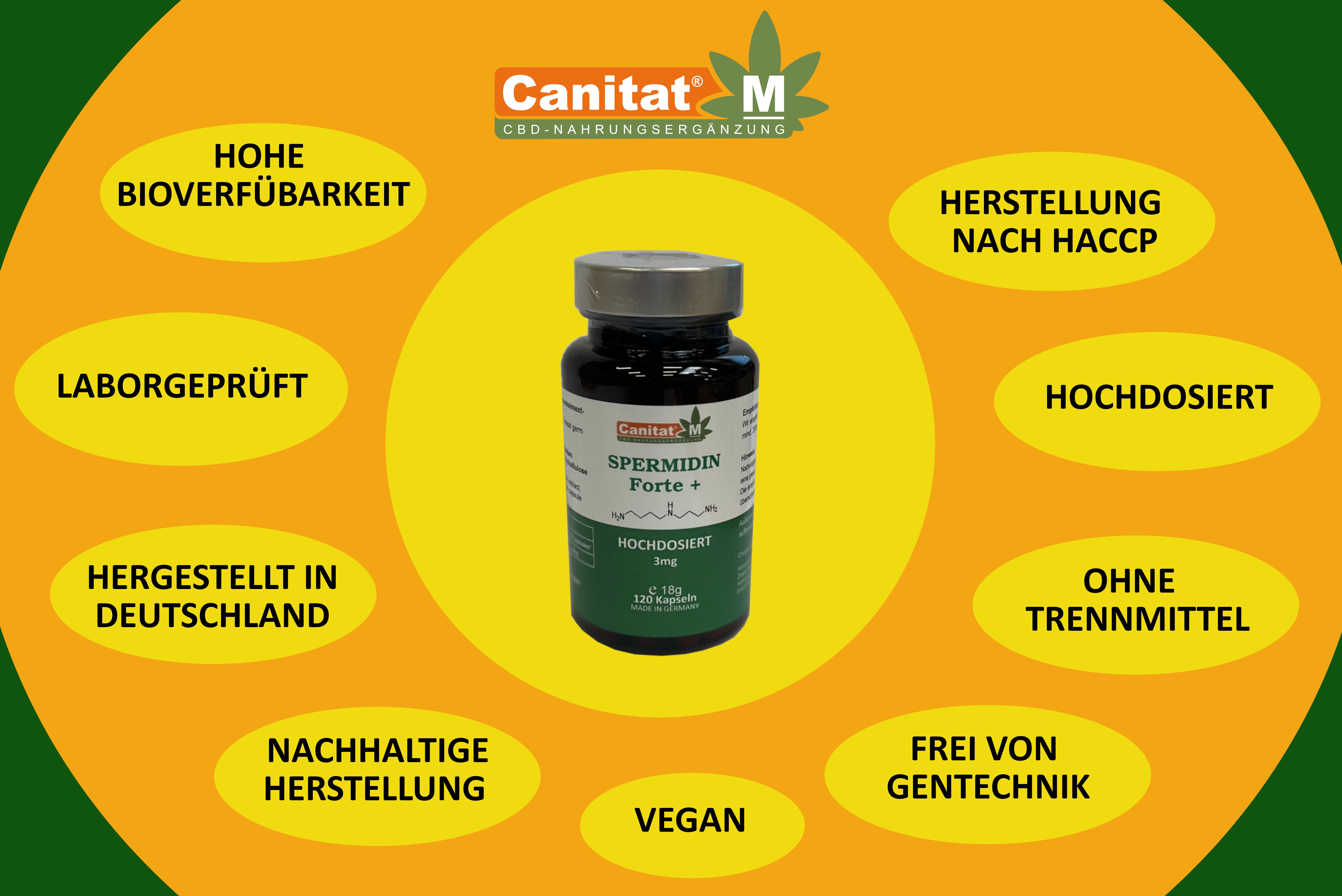 Spermidin aus Weizenkeimextrakt - 5,5mg | 90 Kapseln | MyvitalityPlus