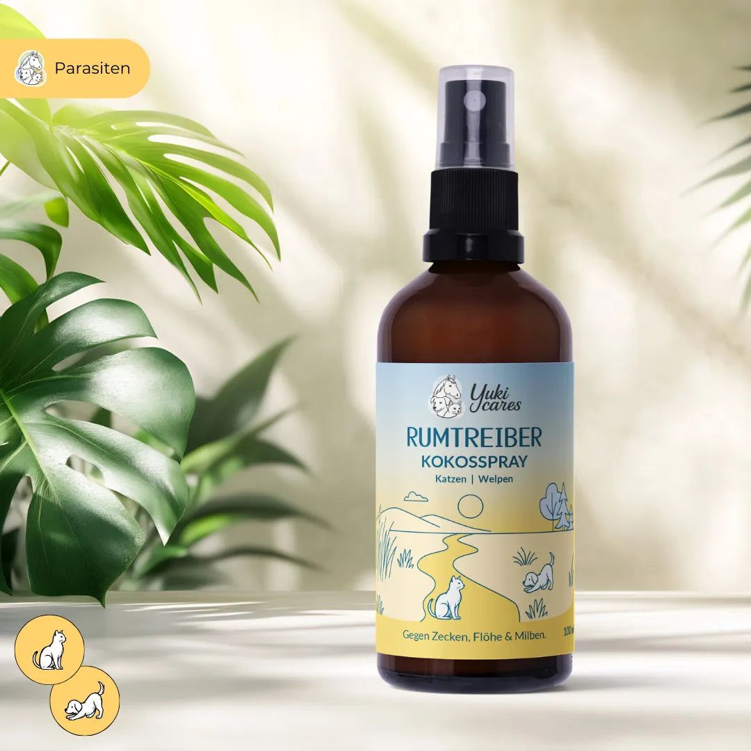 Braune Sprühflasche mit Etikett. Text: Rumtreiber Kokossspray, gegen Zecken, Flöhe & Milben. Logo: Yuki cares.