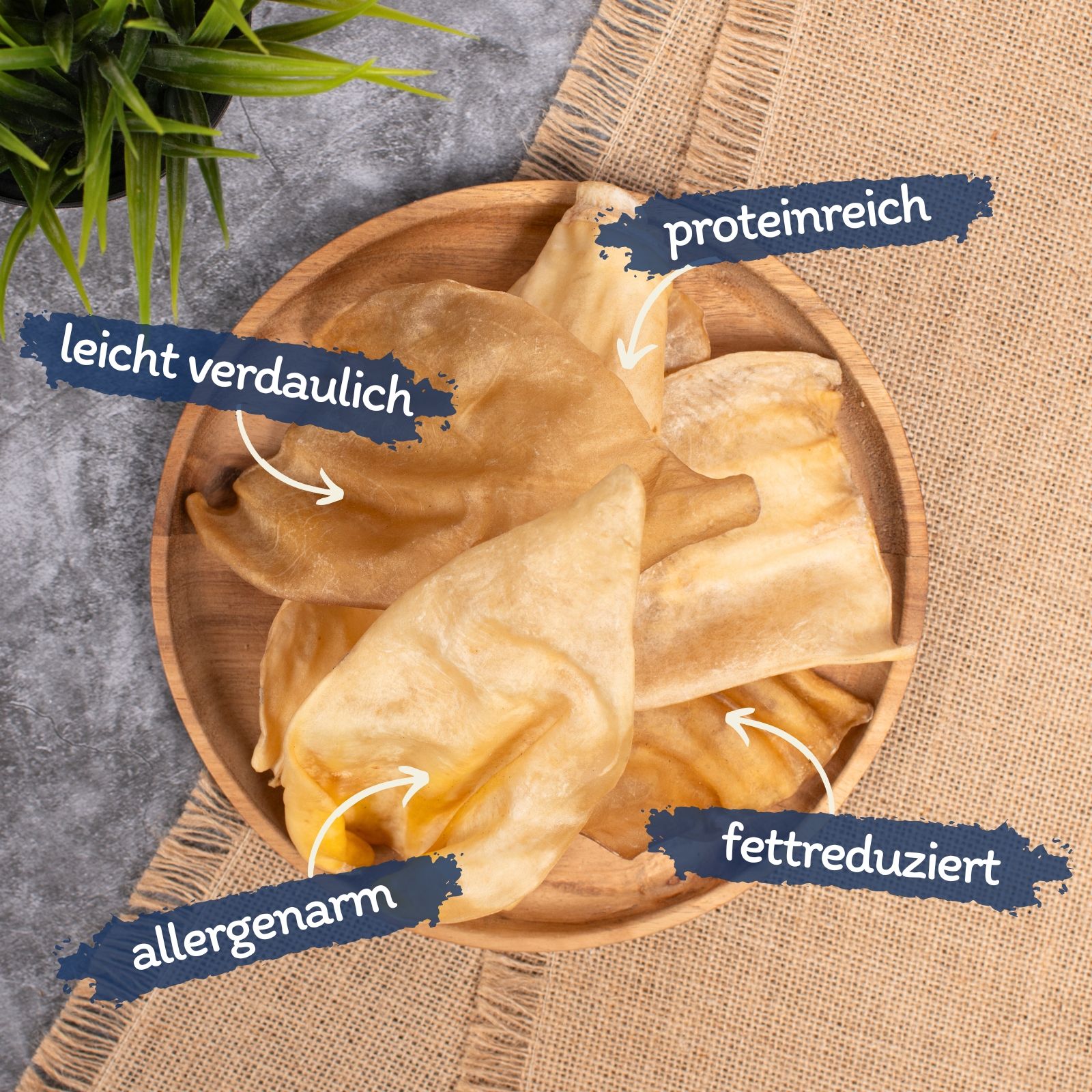 Getrocknete Schweineohren auf einem Holzteller, mit Beschriftungen: proteinreich, leicht verdaulich, allergenarm, fettreduziert.