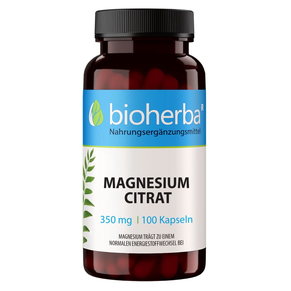 Bioherba Magnesium Citrat 100 Kapseln 45 g