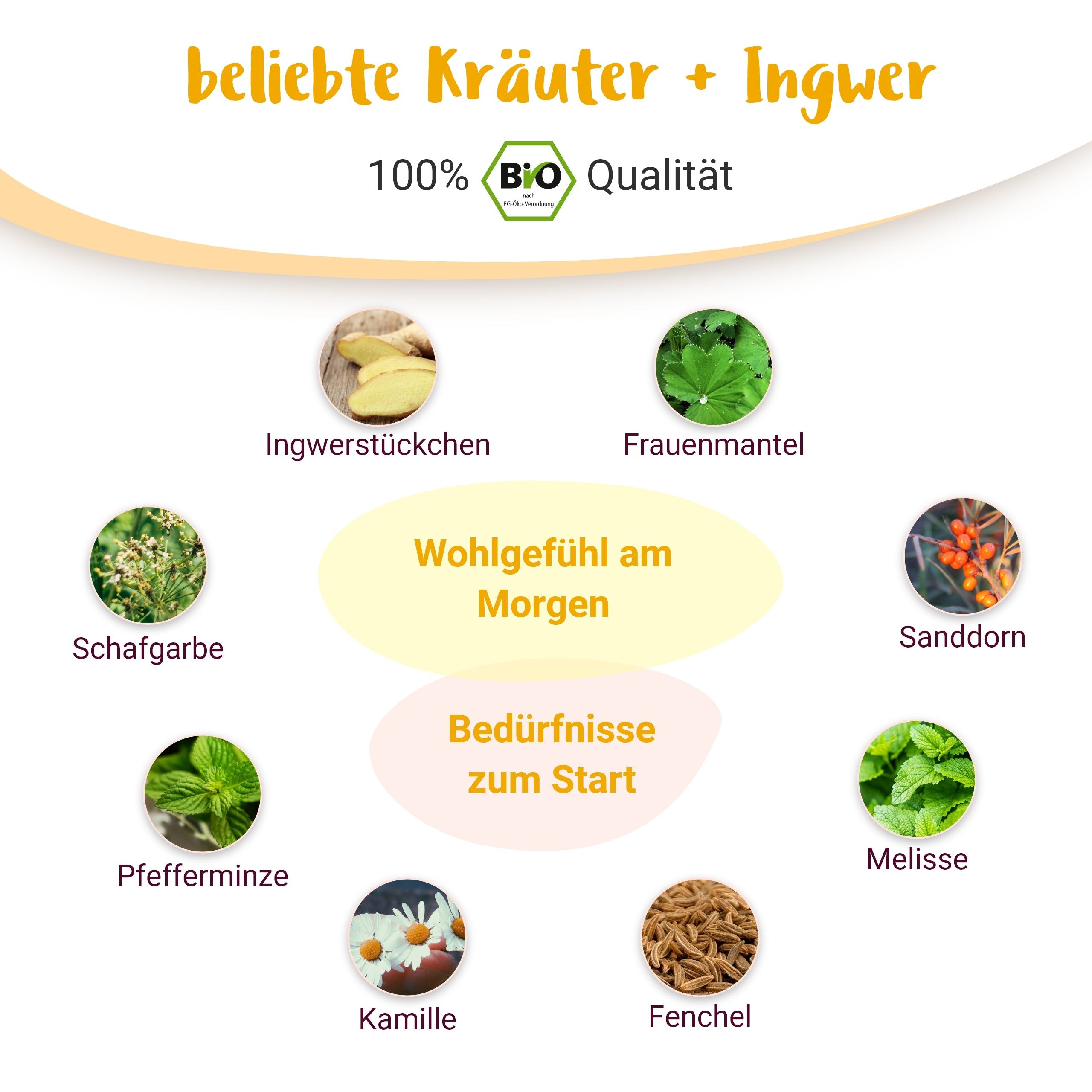 Guten Morgen Mami BIO Schwangerschaftstee für das 1. Trimester - von PregniVital® 60 g Tee