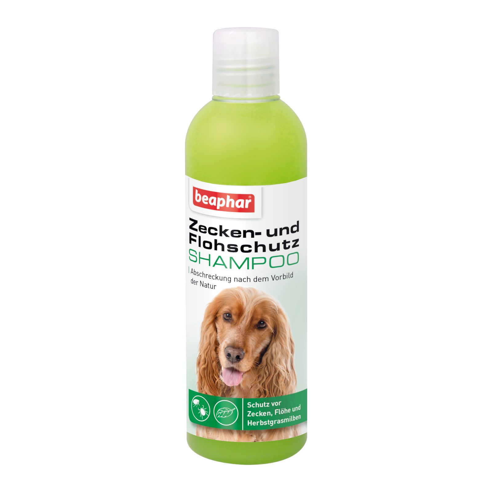 Beaphar Shampoo. Grüne Flasche mit weißem Deckel. Etikett mit Produktname, Hundebild und Logo.
