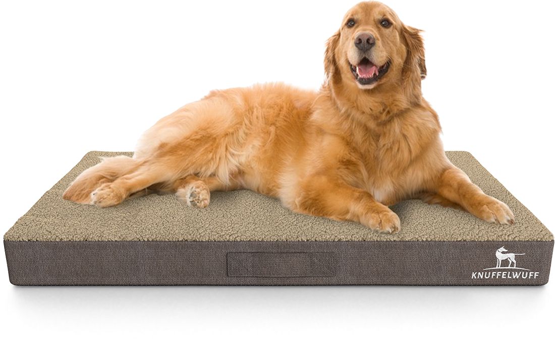 Hund liegt auf orthopädischer Hundematte. Matte rechteckig, beige und braun. Logo: Knuffelwuff.