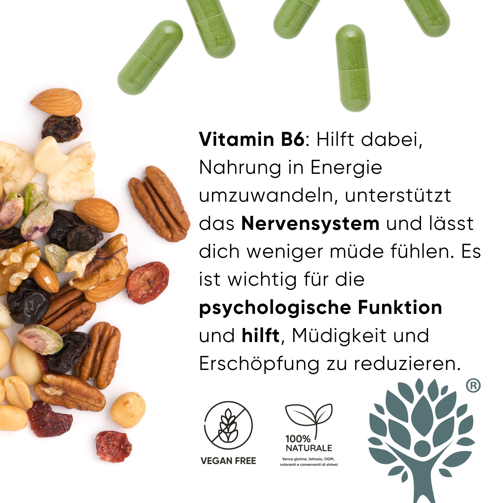 Grüne Kapseln, Nüsse und Trockenfrüchte. Vitamin B6 unterstützt das Nervensystem.