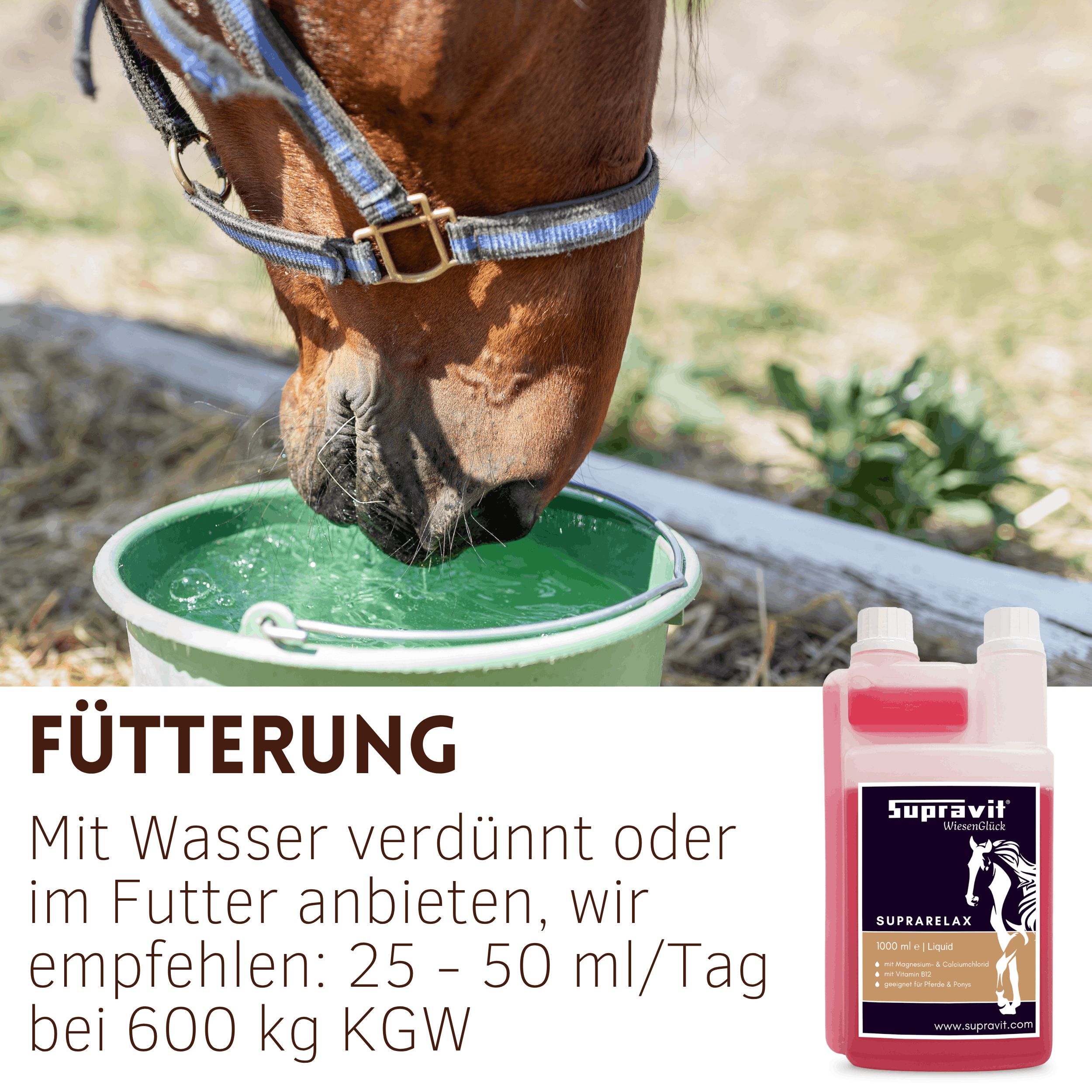Pferd trinkt aus Eimer. Rechts das Produkt: Supravit SupraRelax, Flüssigmagnesium mit B12. Aufschrift: Fütterung.