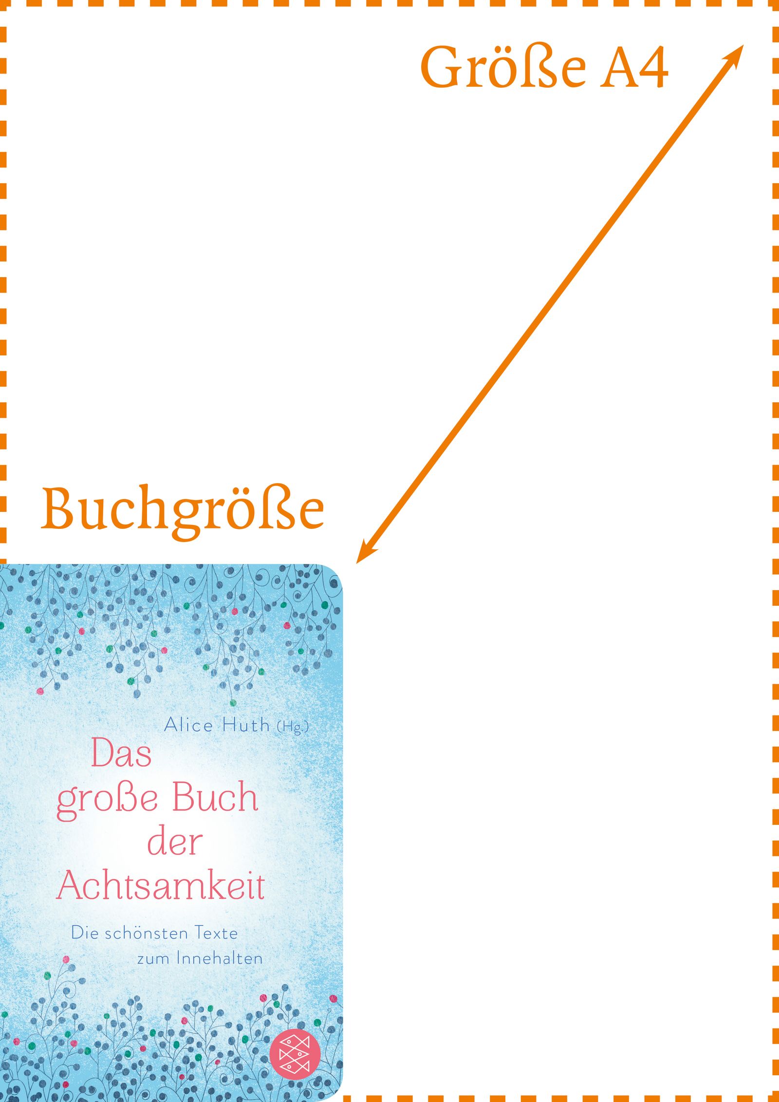 Buch neben A4-Papier. Beschriftung "Buchgröße" und "Größe A4" mit Pfeil. Buchcover: "Das große Buch der Achtsamkeit".