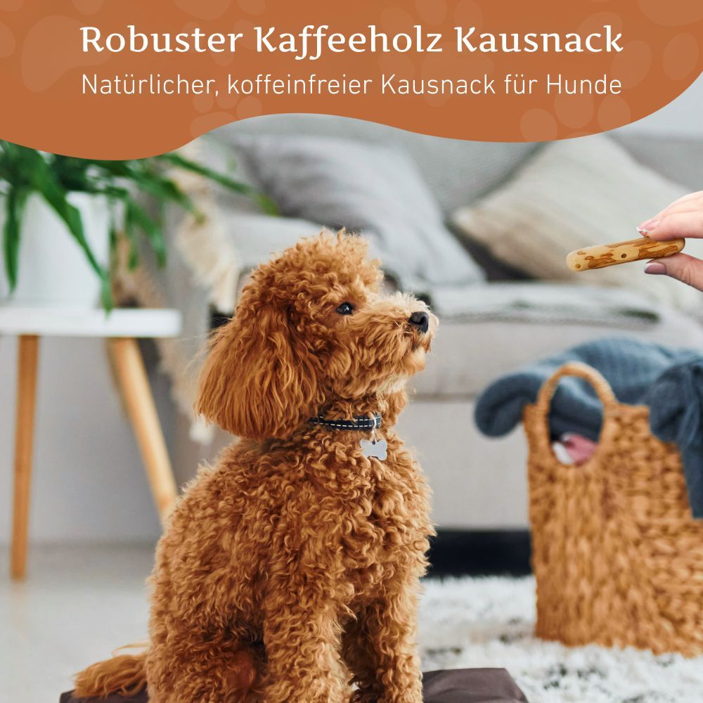 Hund sitzt, Person hält Kaustab. Text: Robuster Kaffeeholz Kausnack. Natürlicher, koffeinfreier Kausnack für Hunde.
