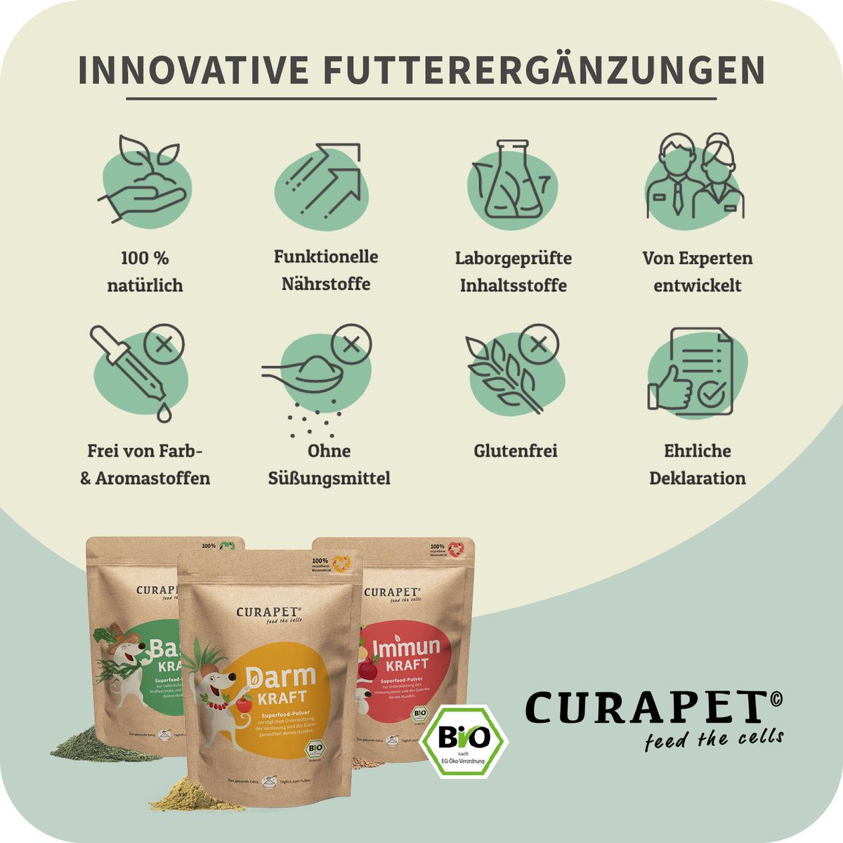 Drei Produktpackungen: Basis Kraft, Darm Kraft, Immun Kraft. Icons: 100% natürlich, funktionale Nährstoffe, laborgeprüft, von Experten entwickelt. Bio-Siegel.