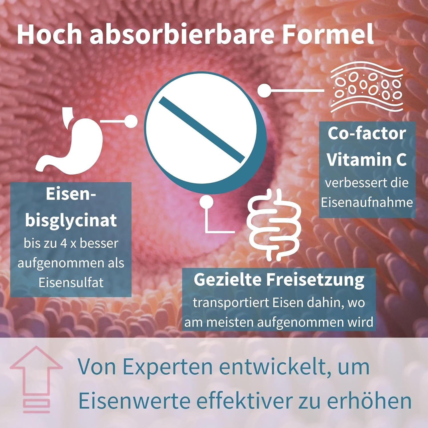 Igennus Eisenbisglycinat mit 100mg Vitamin C V2602-1644