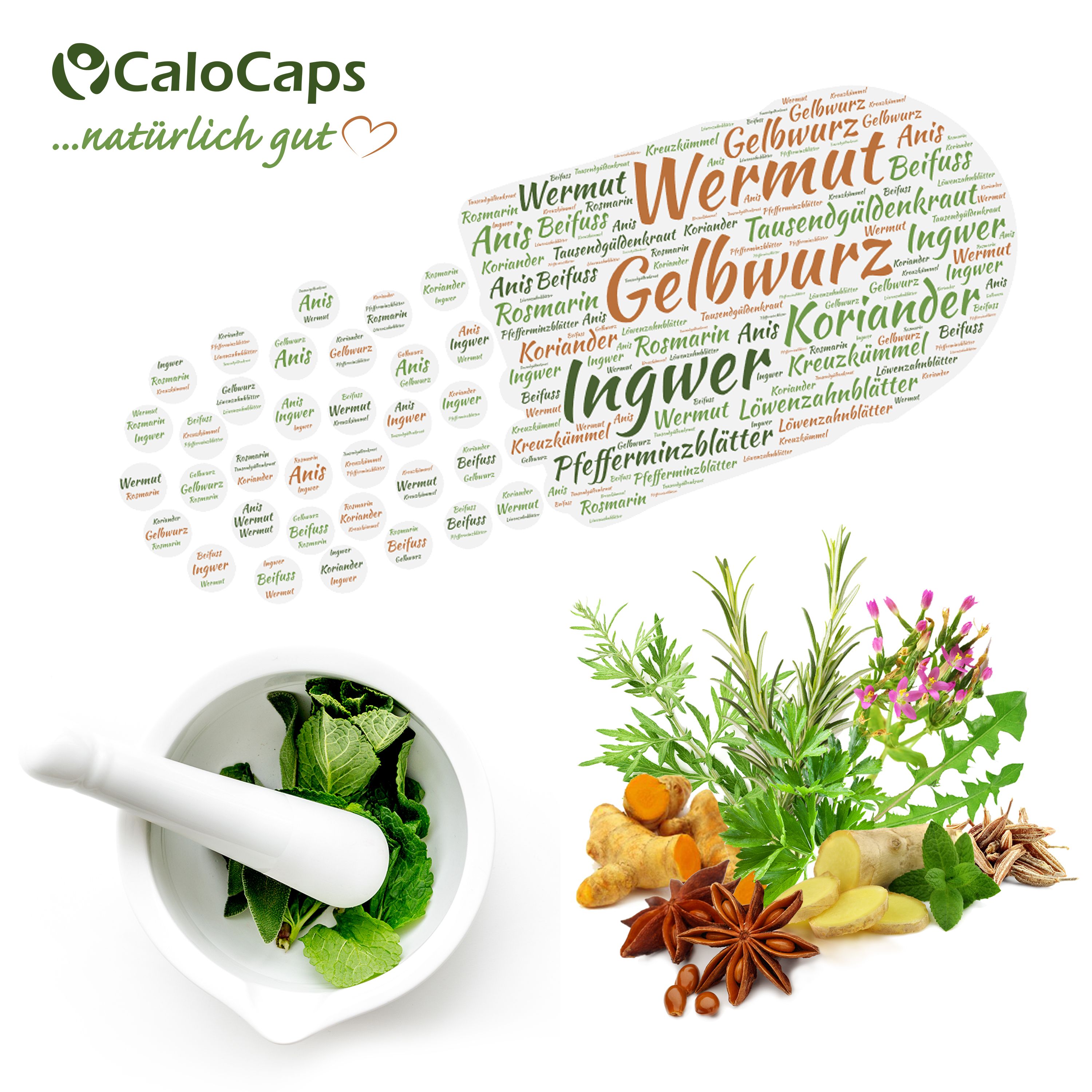 Kräuter und Gewürze, Mörser mit Kräutern, Wortwolke mit Kräuternamen, CaloCaps Logo.