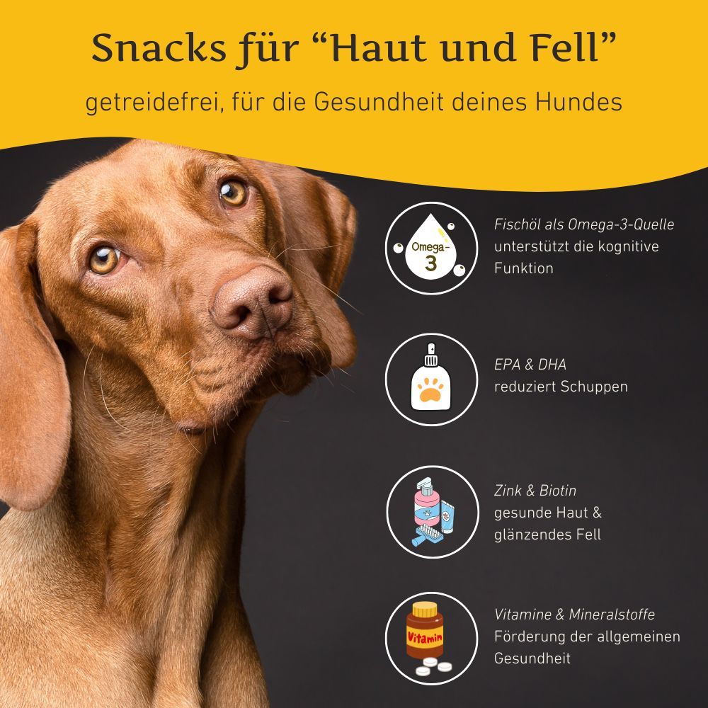 Hund mit Produktinformationen. Omega-3, EPA & DHA, Zink & Biotin, Vitamine & Mineralstoffe. Text: Snacks für Haut und Fell.