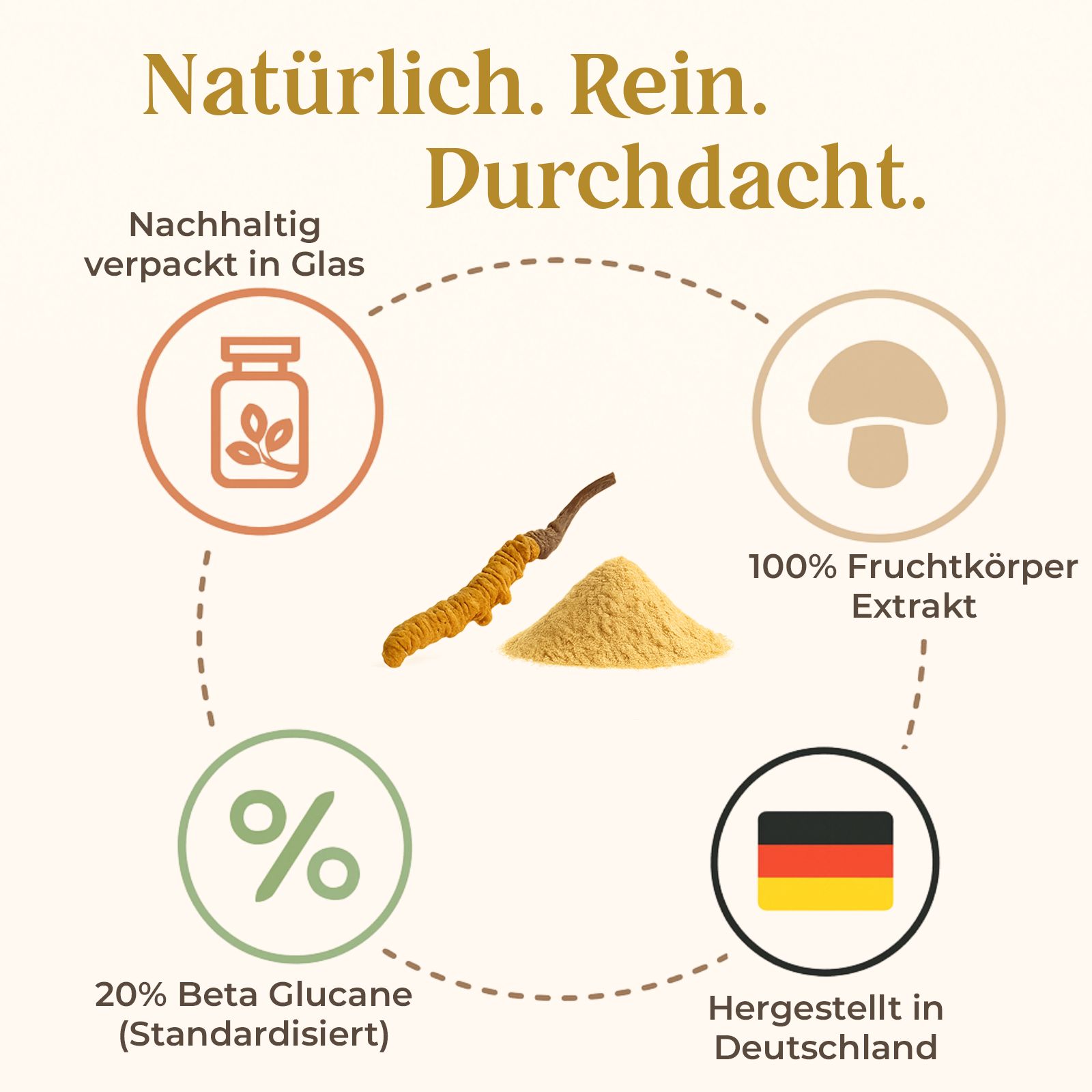 Grafik mit Text: Natürlich. Rein. Durchdacht. Enthält: 20% Beta-Glucane, hergestellt in Deutschland, 100% Fruchtkörper Extrakt, nachhaltig verpackt in Glas.