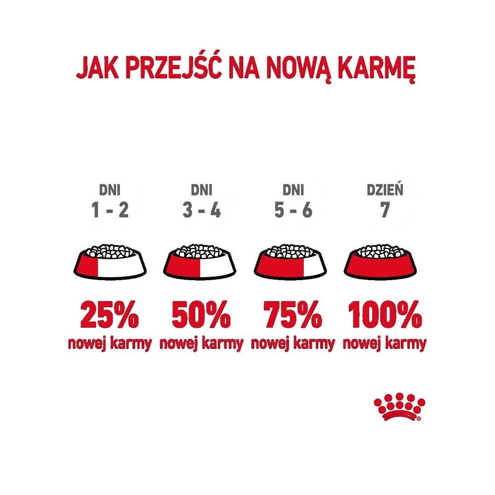 Grafik zur schrittweisen Futterumstellung bei Katzen über 7 Tage.