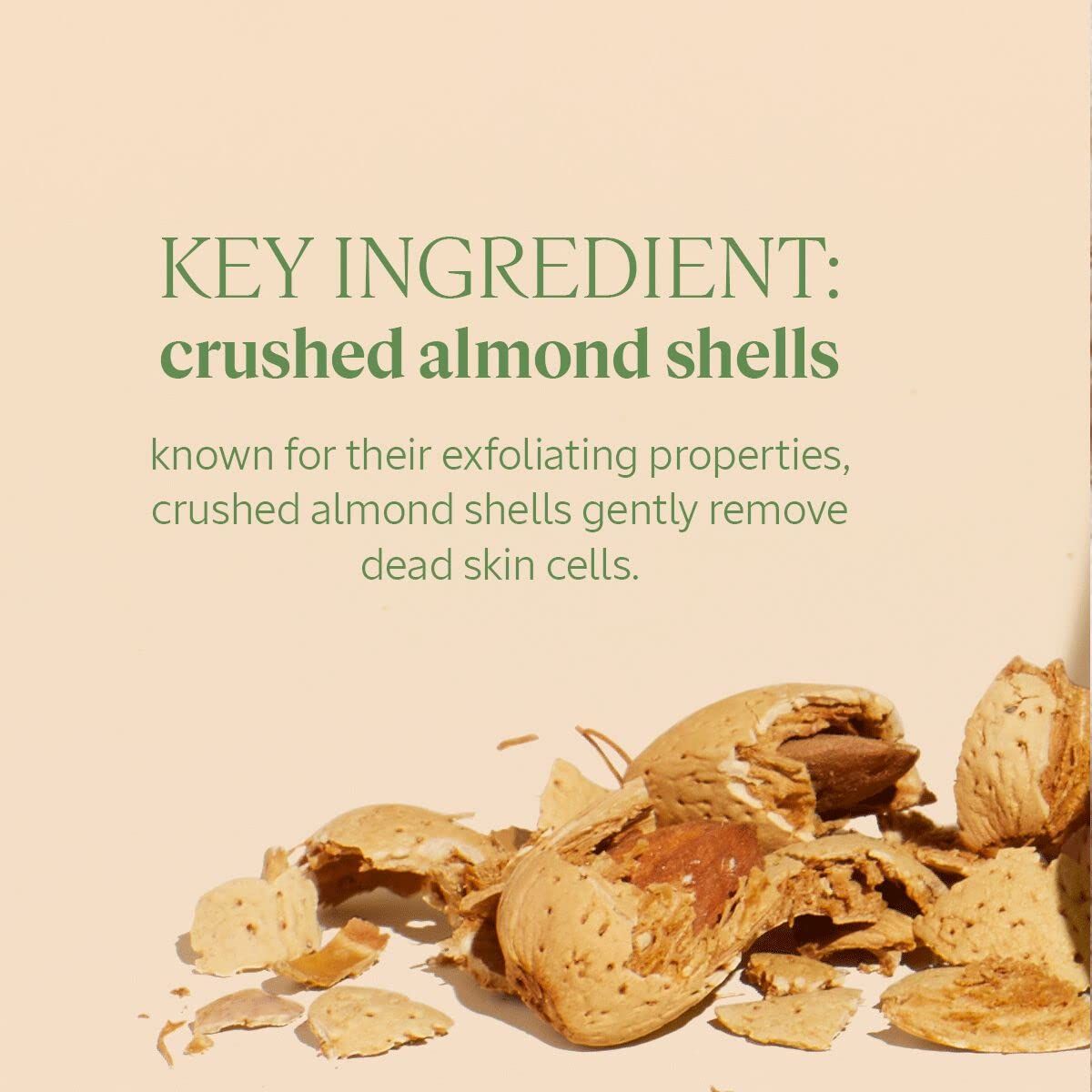 Nahaufnahme von zerbrochenen Mandelschalen. Text: Key Ingredient: crushed almond shells. Bekannt für ihre exfolierenden Eigenschaften.