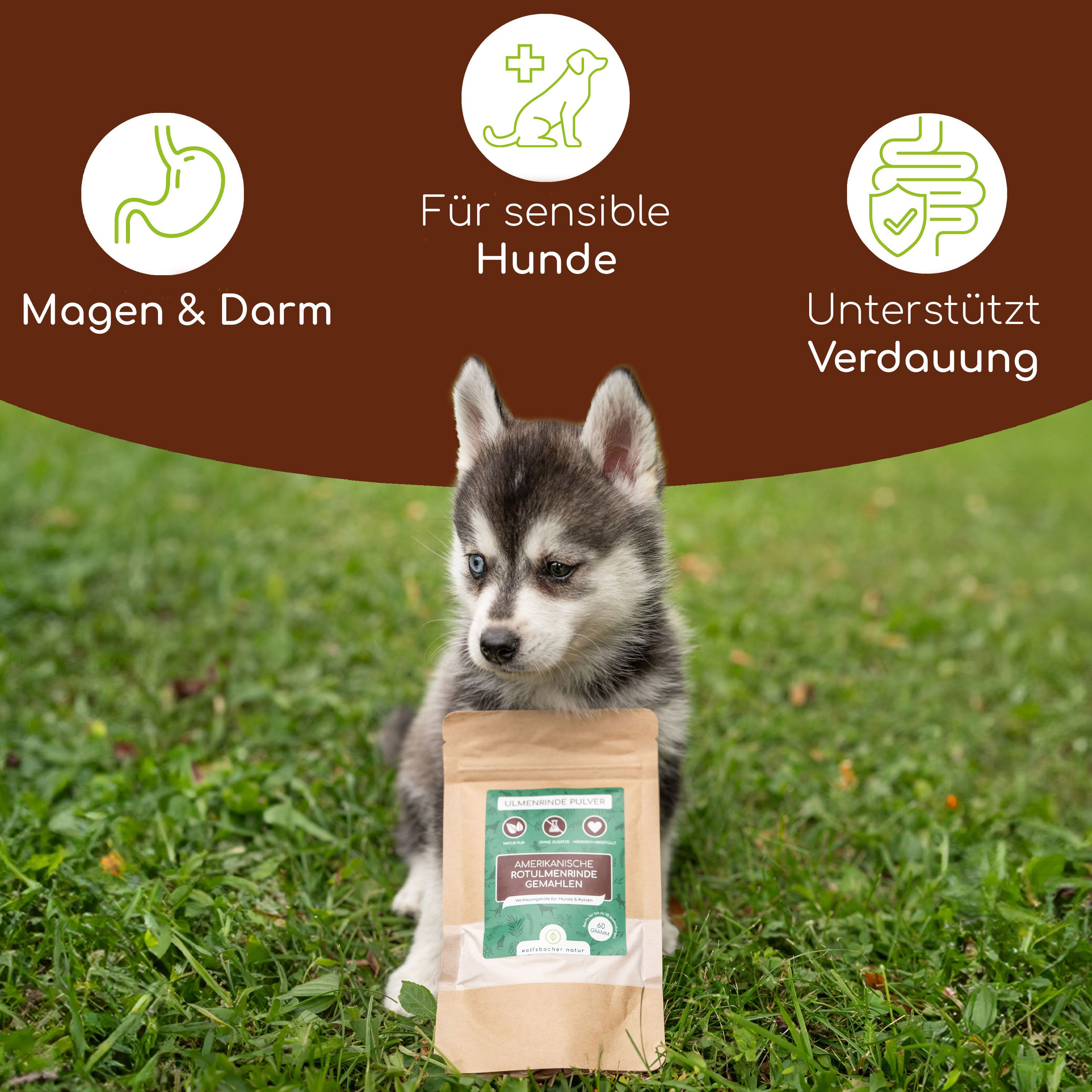 Welpe mit Beutel 'Ulmenrinde Pulver'. Braune Verpackung, grüne Etiketten. Text: 'Amerikanische Rotulmenrinde gemahlen'. Hintergrund: Gras.