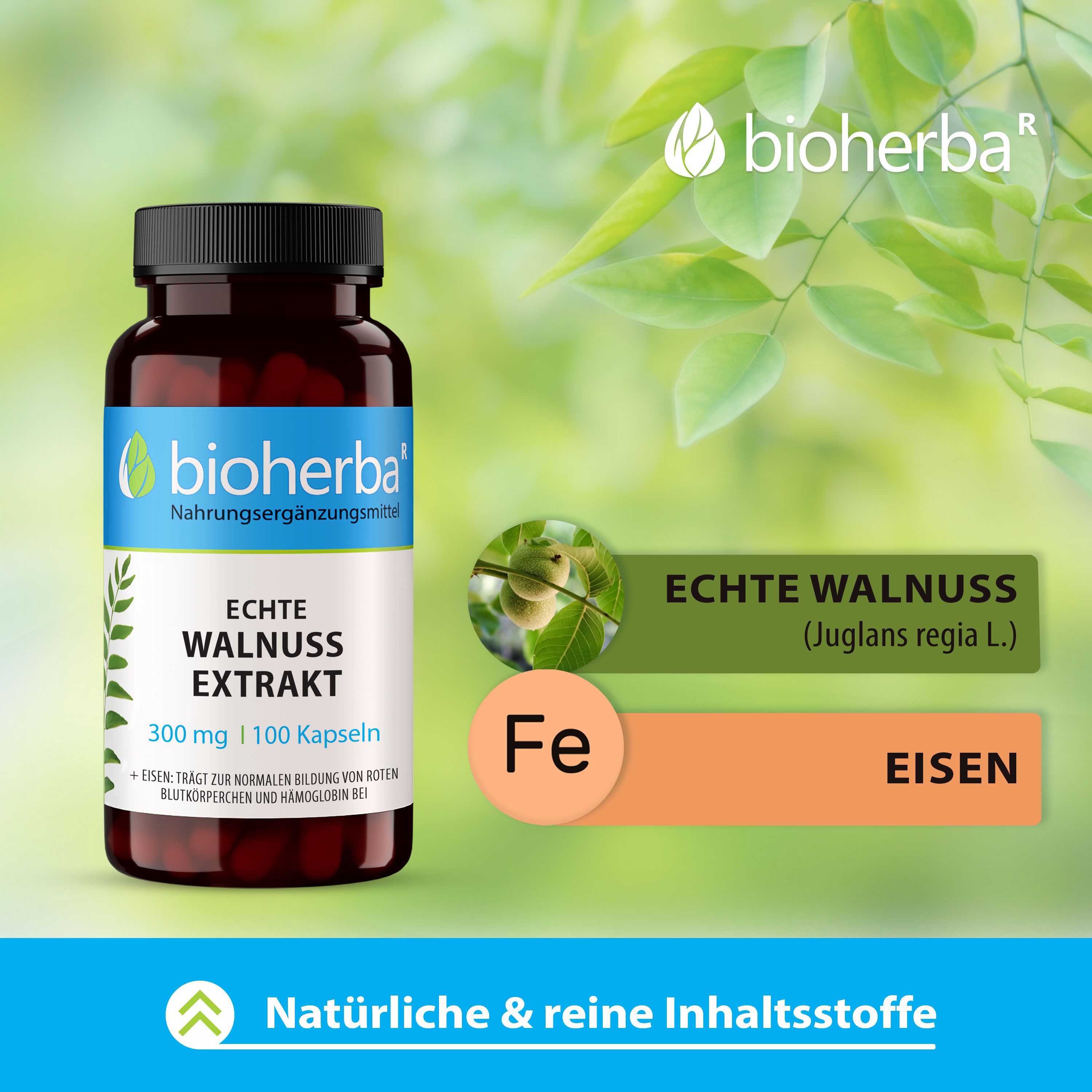 Bioherba Echte Walnuss Extrakt Kapseln