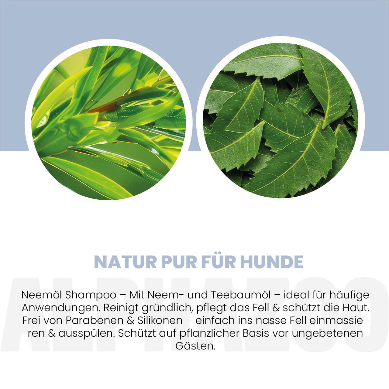 alphazoo Neemöl Shampoo für Hunde – Fellpflege mit Neemöl