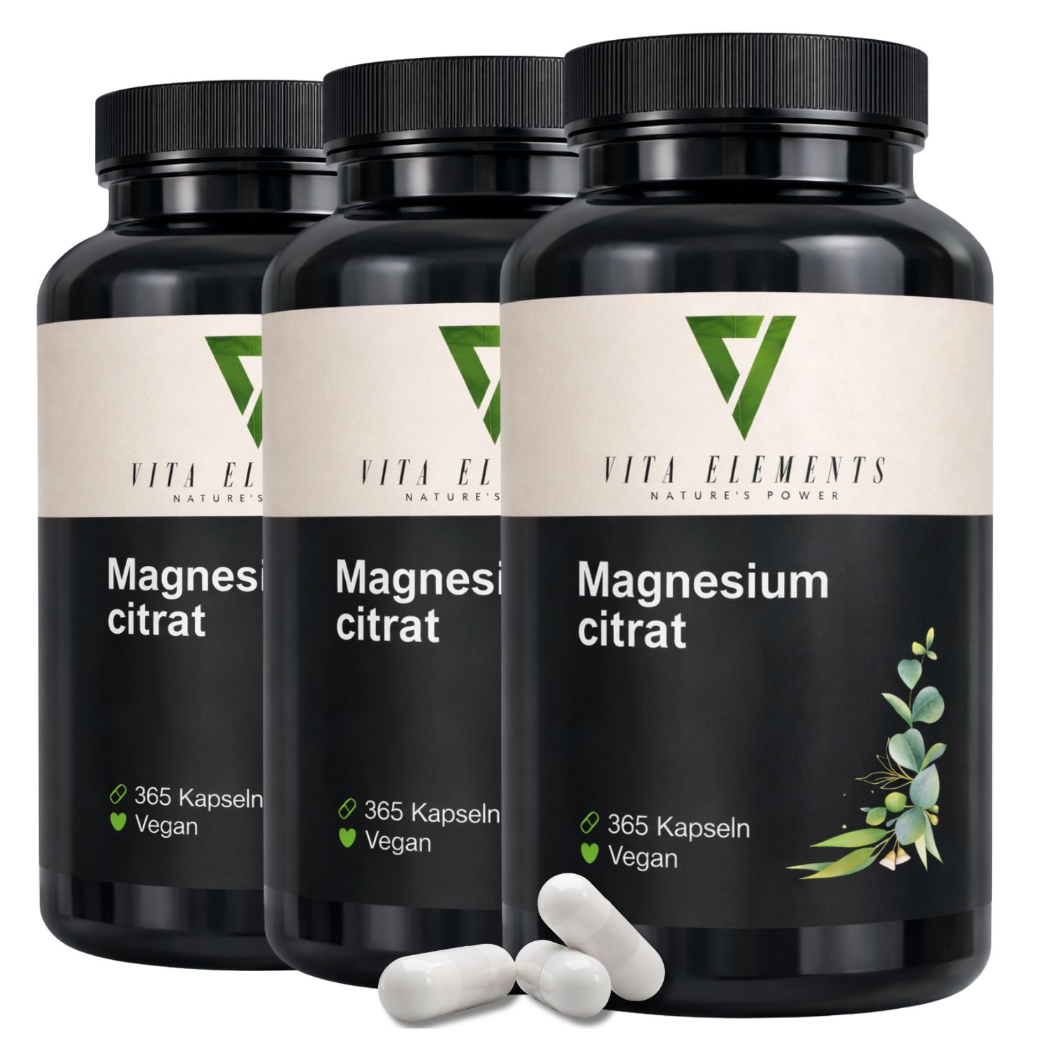 Vita Elements Magnesiumcitrat Kapseln 325 g