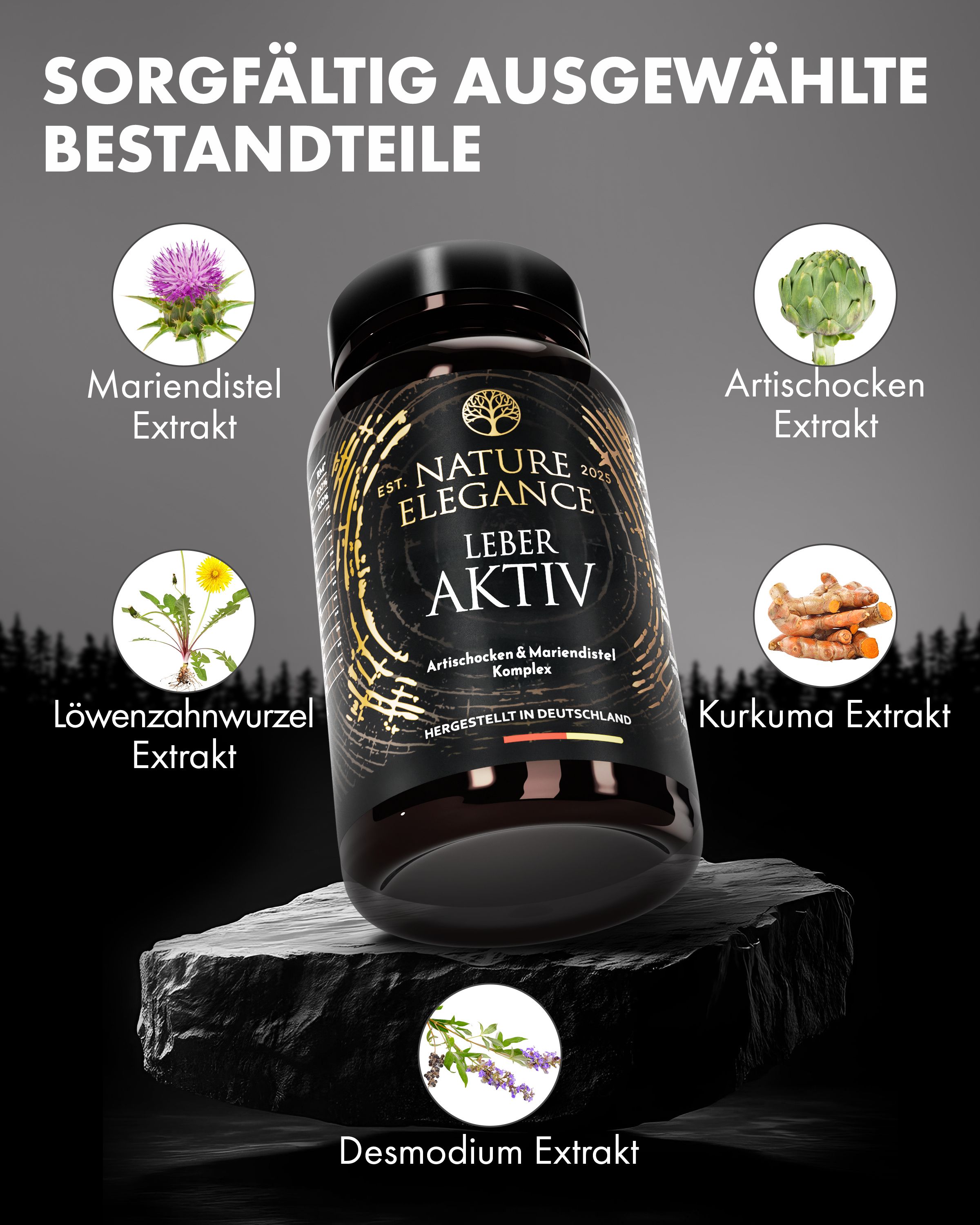 Flasche mit Zutaten. Aufschrift: NATURE ELEGANCE LEBER AKTIV. Mariendistel, Artischocke, Löwenzahnwurzel, Kurkuma, Desmodium.