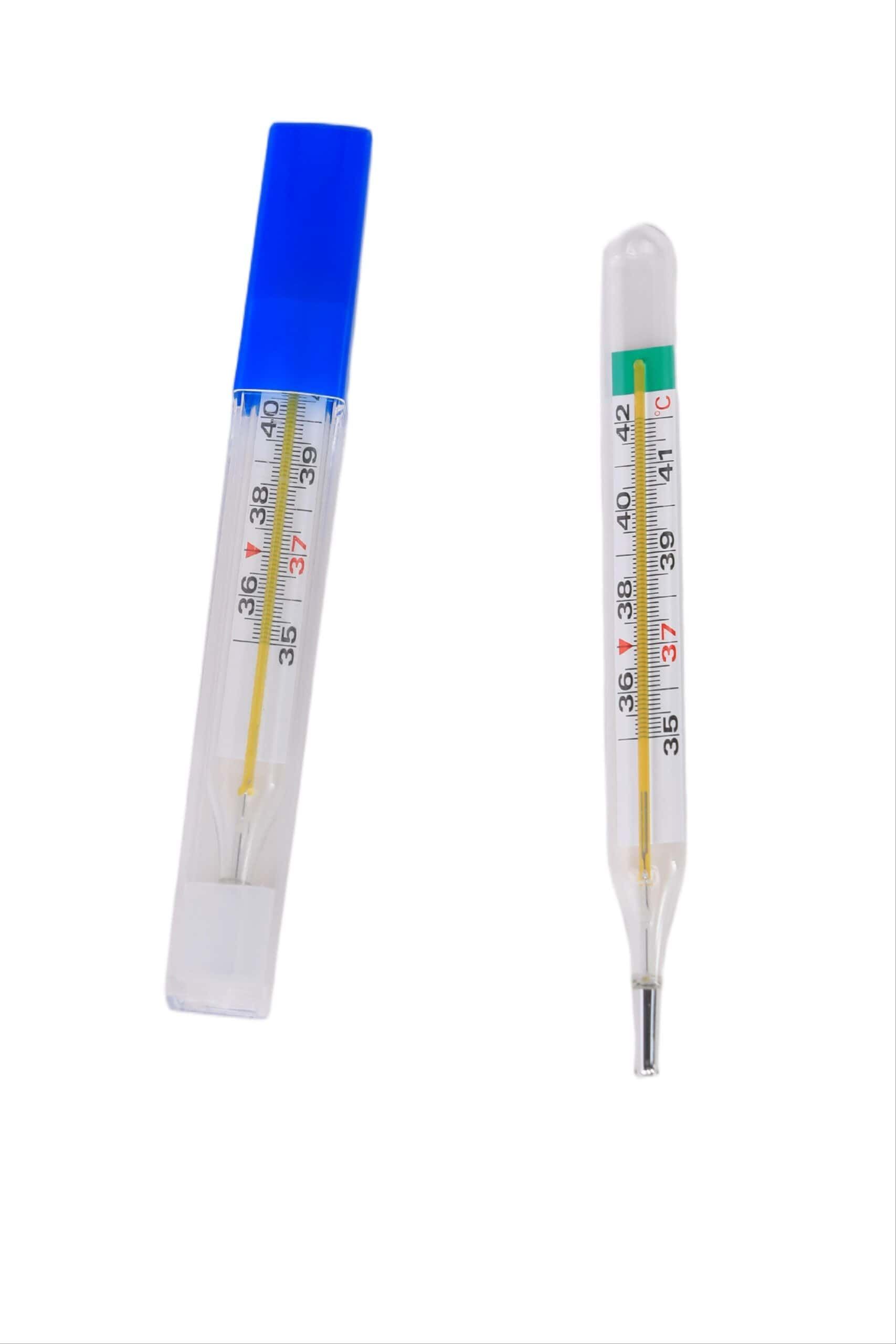 Zwei analoge Glasthermometer mit Skalen von 35-42°C. Eines mit blauer Kappe in Schutzhülle, das andere frei liegend.