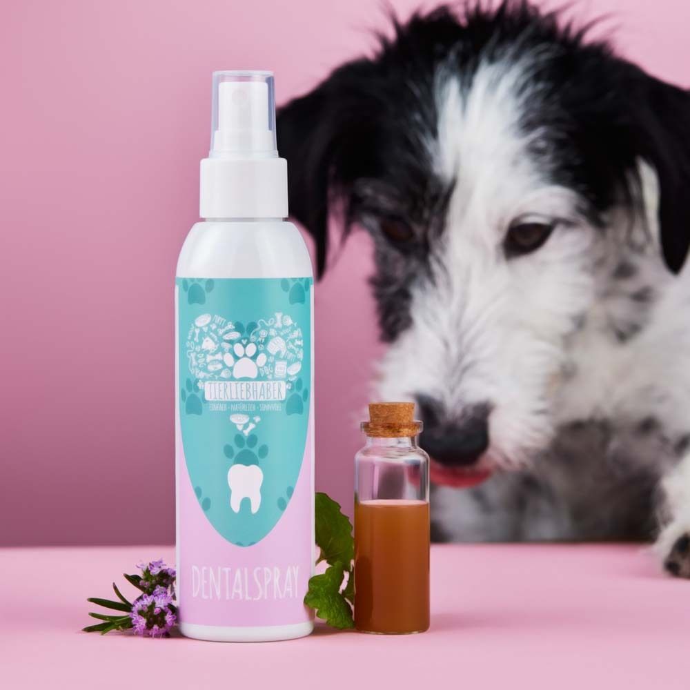 Zahn-Spray für Hunde neben einer kleinen Glasflasche. Hund im Hintergrund. Rosa Hintergrund.