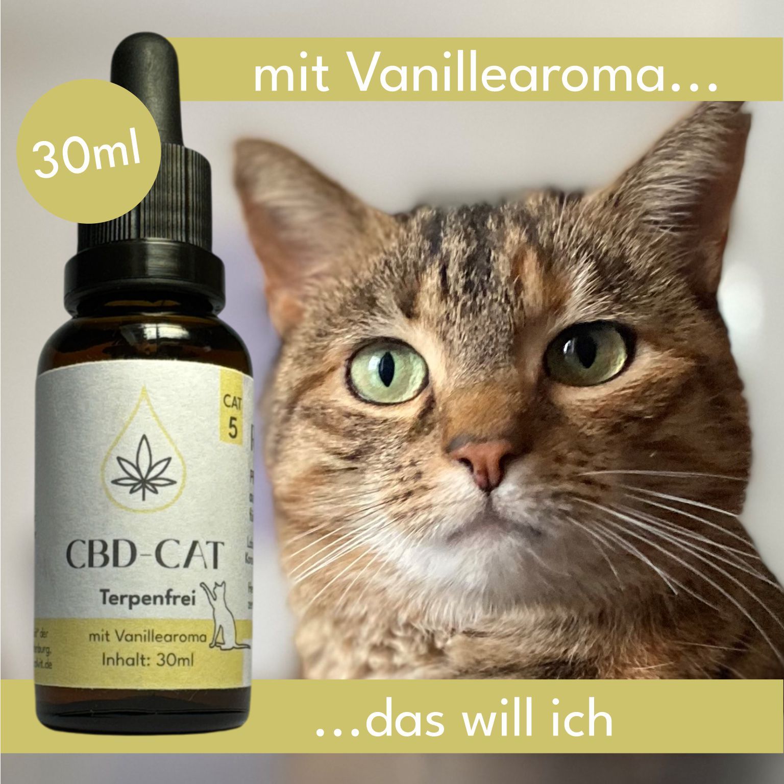 CBD Öl Flasche für Katzen neben einer Katze. 30ml, 5% CBD, Vanillearoma, Terpenfrei.