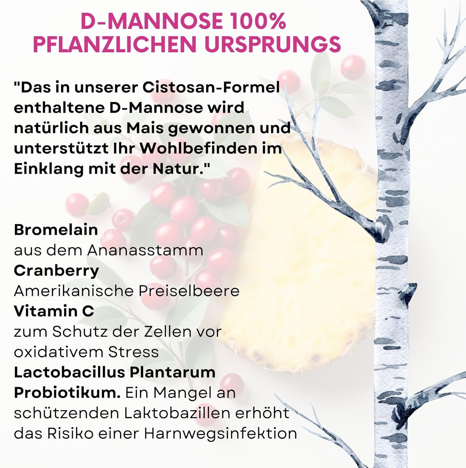 Text: D-Mannose 100% pflanzlichen Ursprungs. Inhaltsstoffe: Bromelain, Cranberry, Vitamin C, Lactobacillus Plantarum. Abbildung von Früchten und Zweigen.