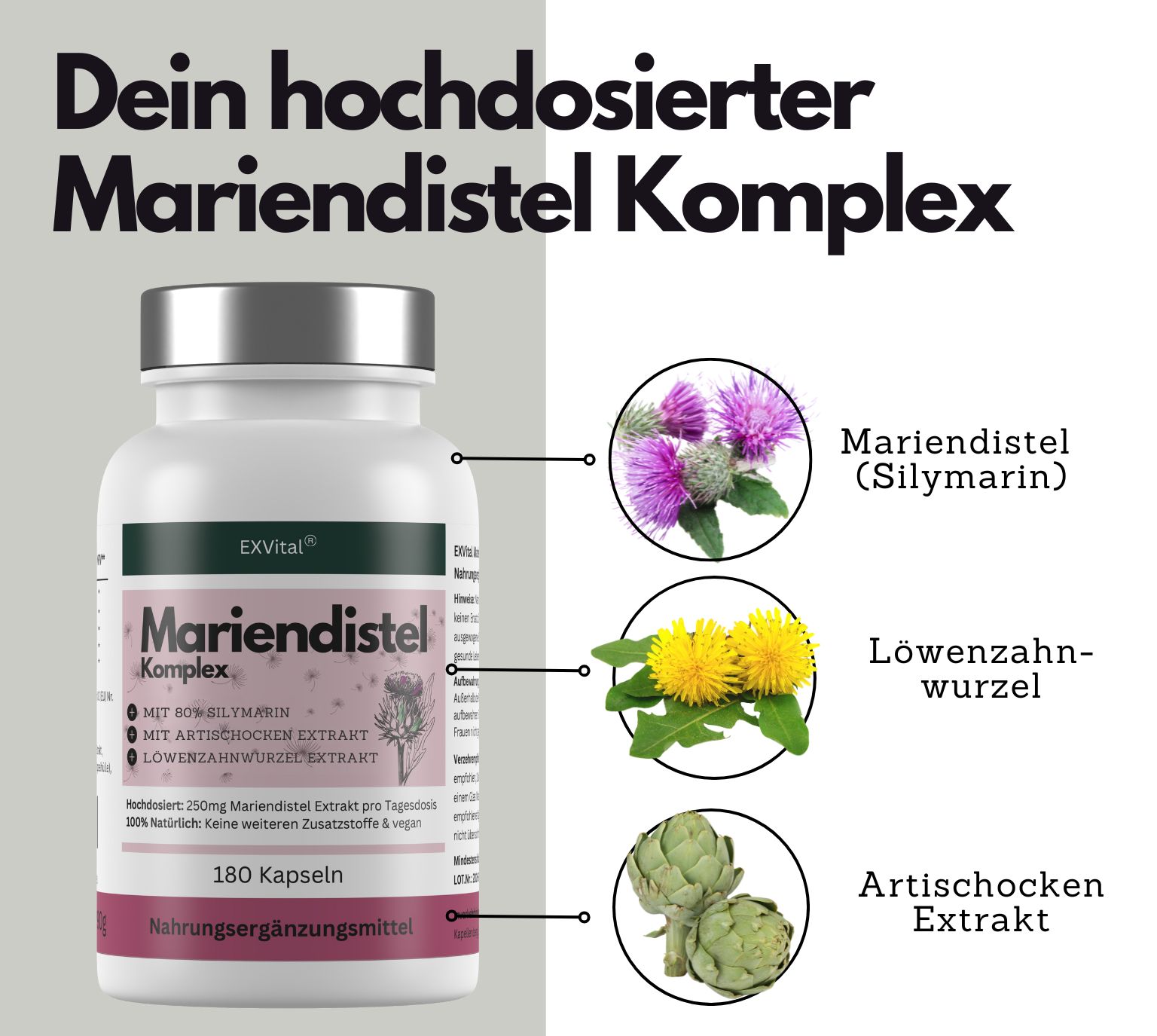 EXVital® Mariendistel Komplex Kapseln mit Artischocke & Löwenzahn