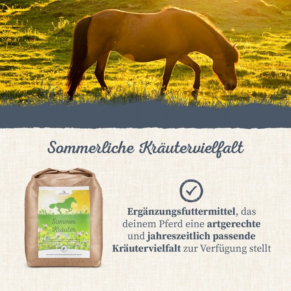 Krauterie Sommer Kräuter für Pferde