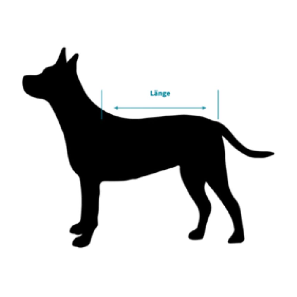 Schwarze Silhouette eines Hundes. Blaue Linie mit der Aufschrift 'Länge' zeigt die Messung des Rückens.