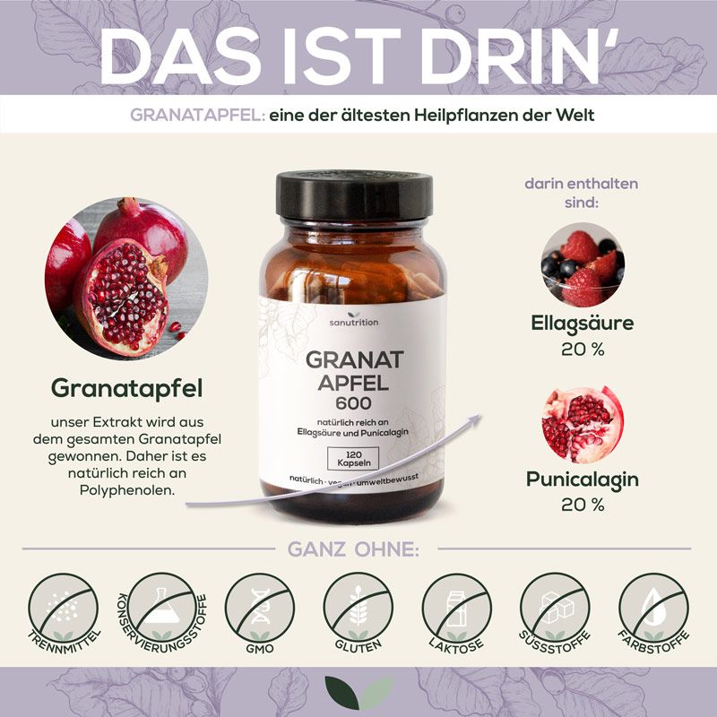 Infografik: Granatapfel, Beeren, Kapseln. "GRANAT APFEL 600" Flasche. Inhaltsstoffe: Ellagsäure, Punicagalin. Ohne Zusatzstoffe. Sanutrition Logo.