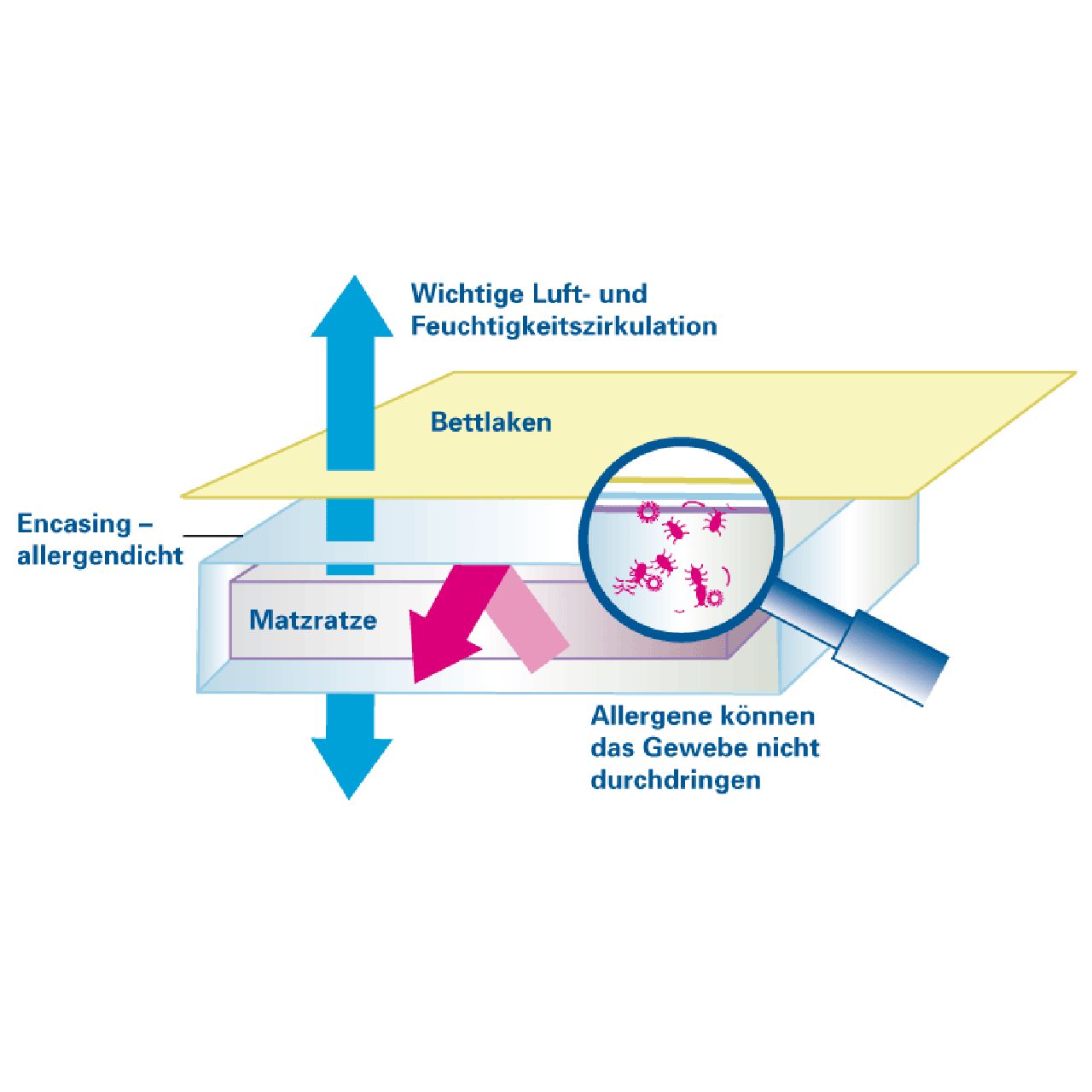 Schematische Darstellung: Matratze, Bettlaken, Pfeile für Luftzirkulation. Lupe zeigt Allergene, die das Gewebe nicht durchdringen.