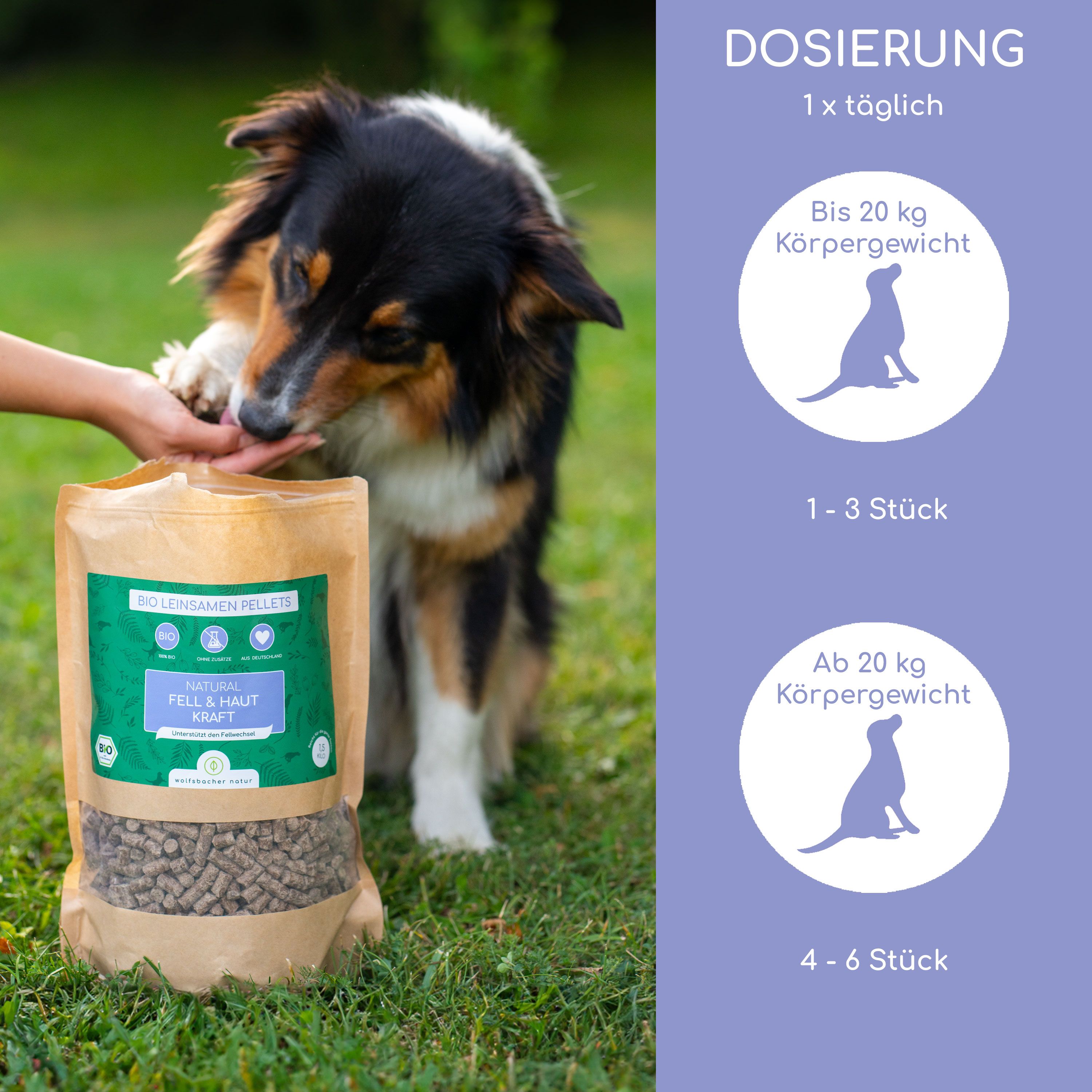 Hand gibt Pellets an Hund. Beutel mit Pellets daneben. Text: BIO Leinsamen Pellets, Natural Fell & Haut Kraft. Dosierung: 1-3 Stück, 4-6 Stück.