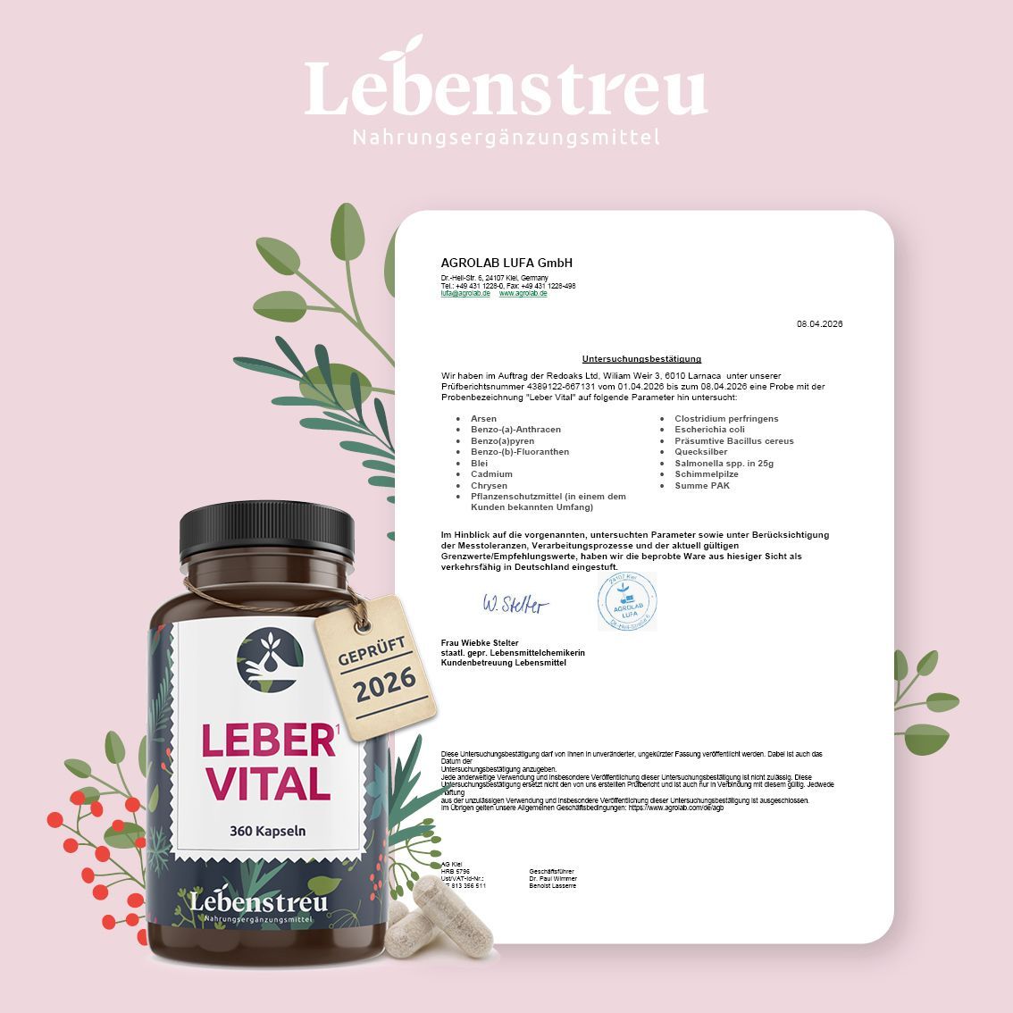 Lebenstreu Leber Komplex (360 Kapseln) mit Mariendistel, Artischocke, Löwenzahn und Cholin