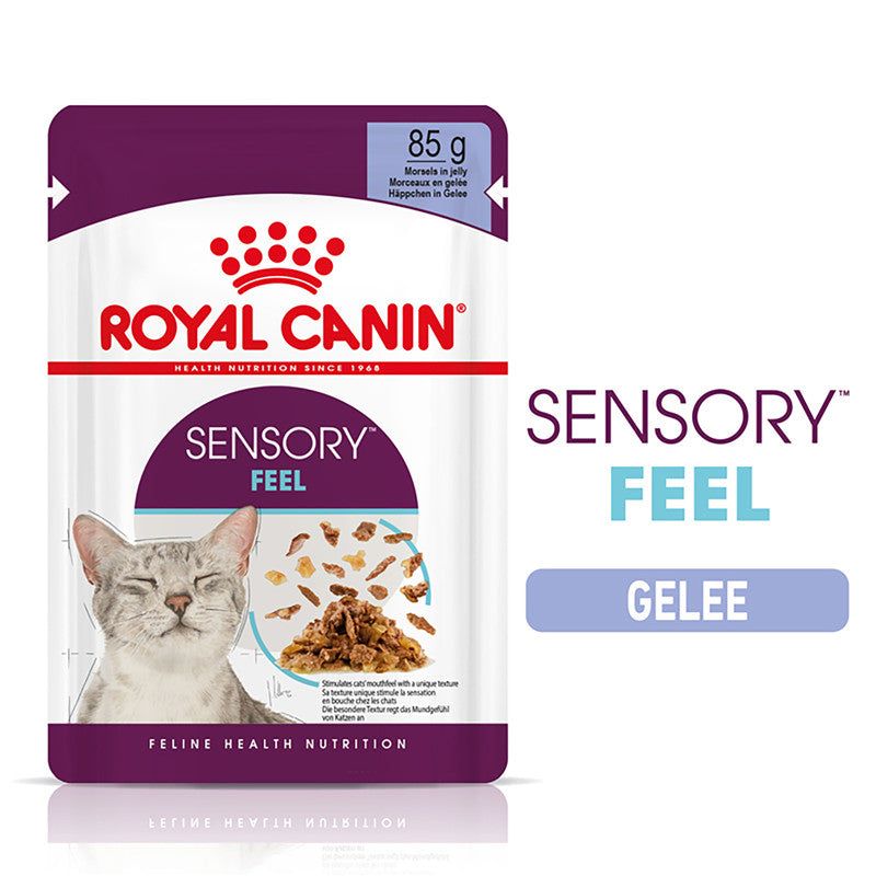 Royal Canin FHN Sensory Feel Jelly FB 0,34 kg