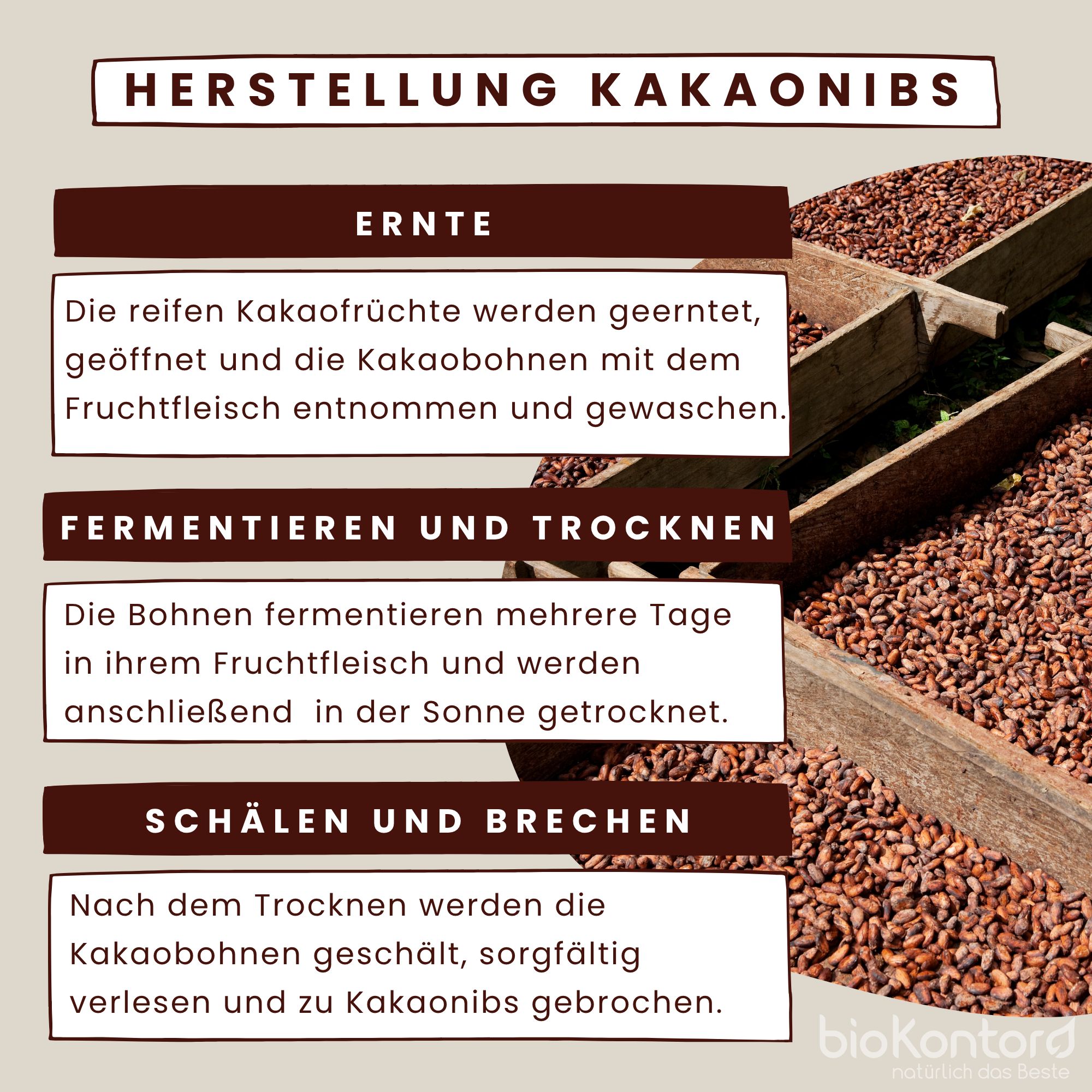 bioKontor Kakaonibs ungeröstet