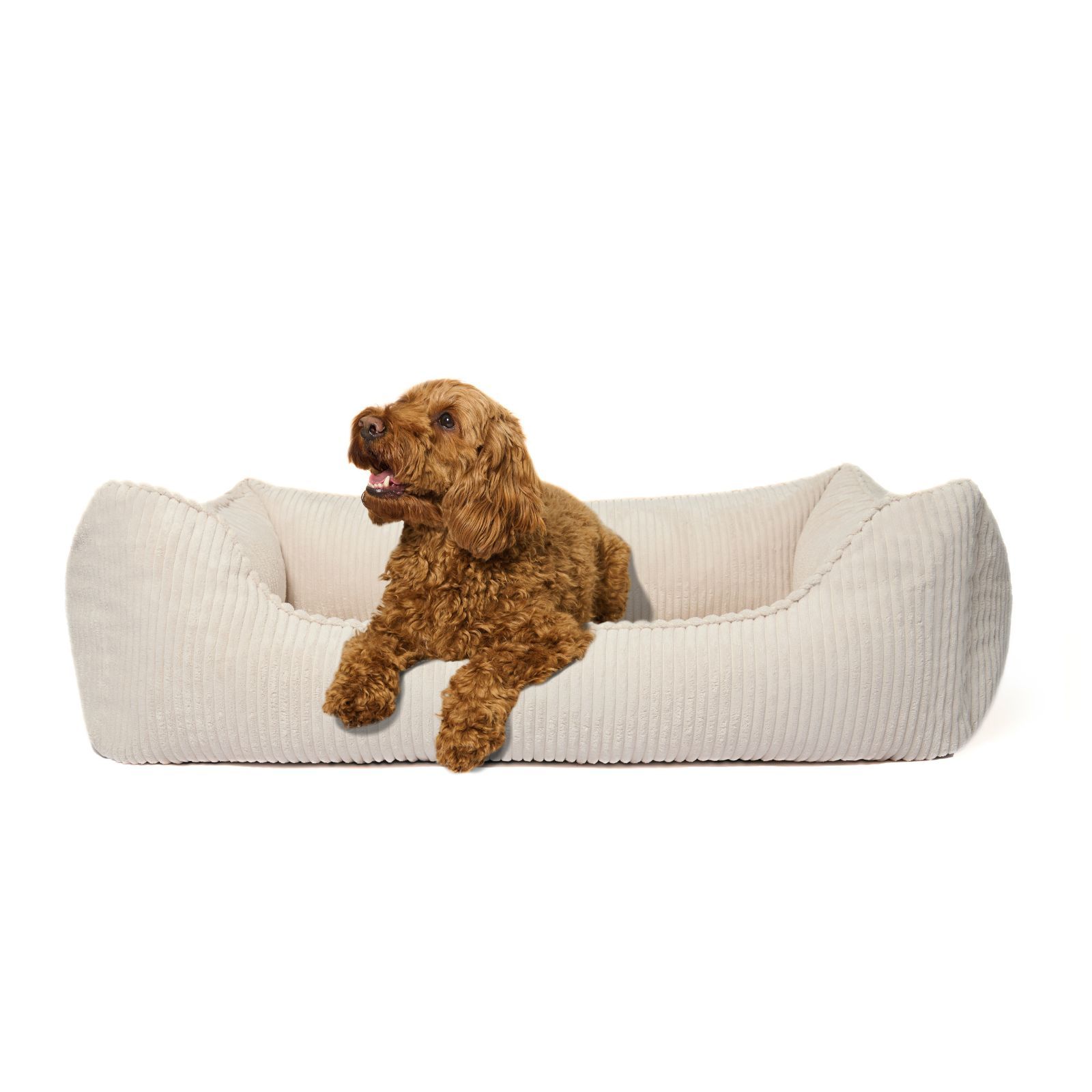 Beiges Hundebett mit Kordstruktur. Ein brauner Hund liegt im Bett.