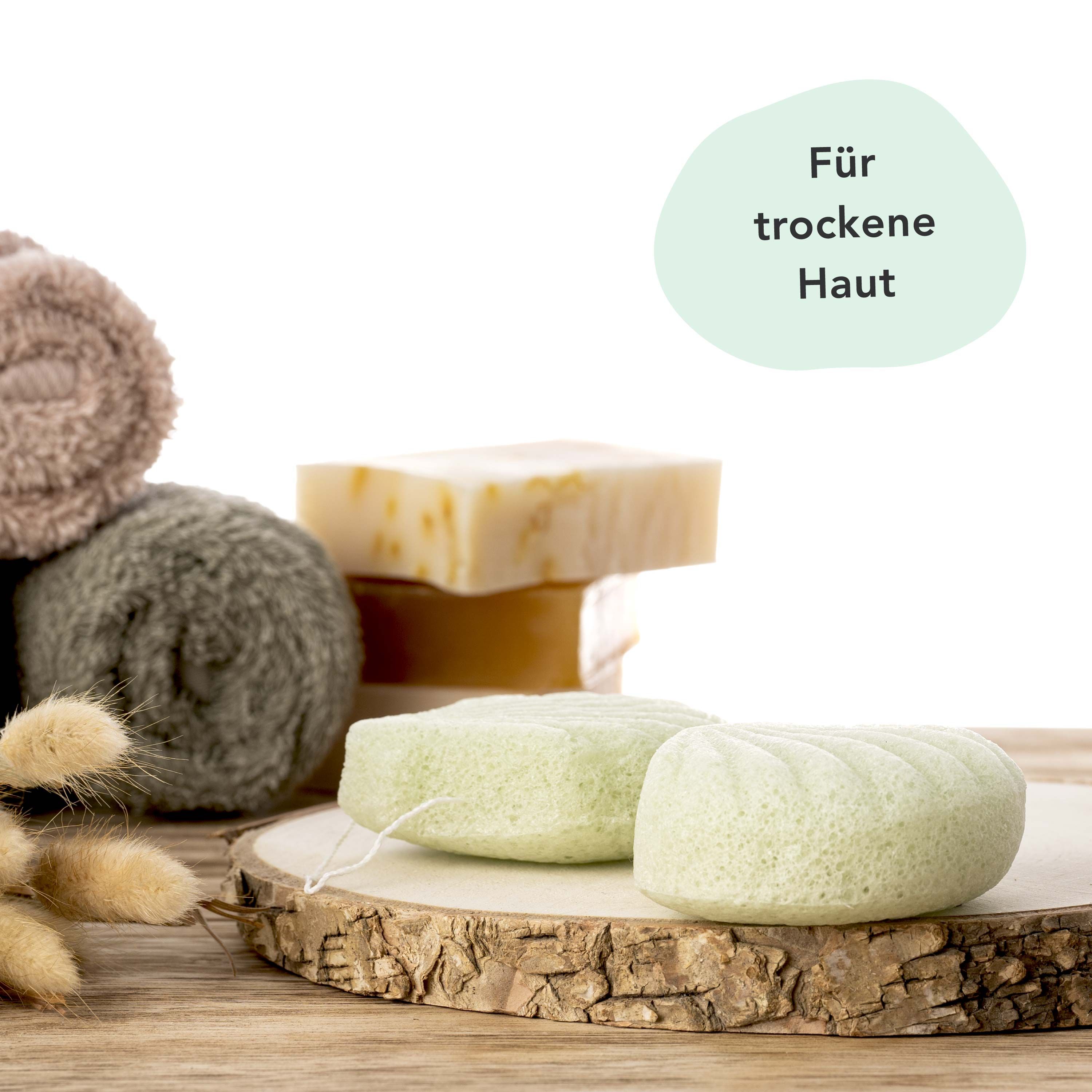 FACES OF FEY Konjac Sponge - Aloe Vera