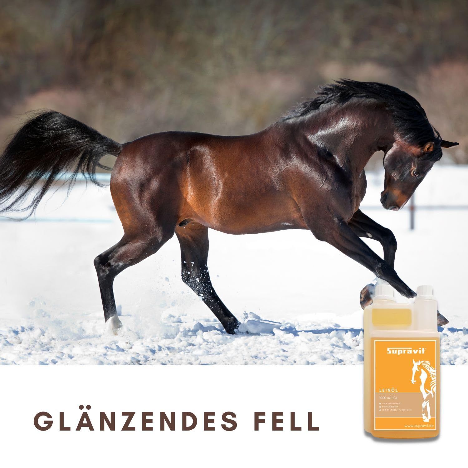 Pferd galoppiert im Schnee. Rechts: Produktflasche mit Logo und Text. Text: Glänzendes Fell.