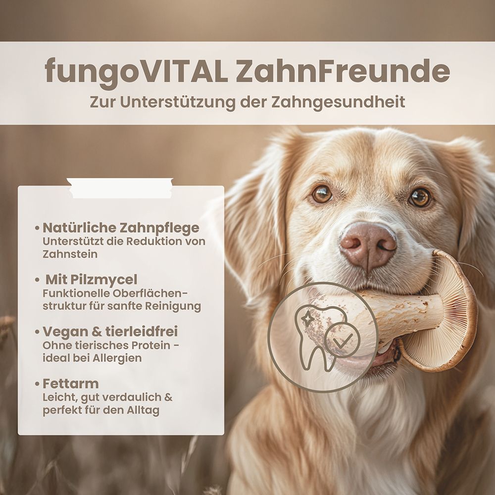 fungoVITAL ZahnFreunde