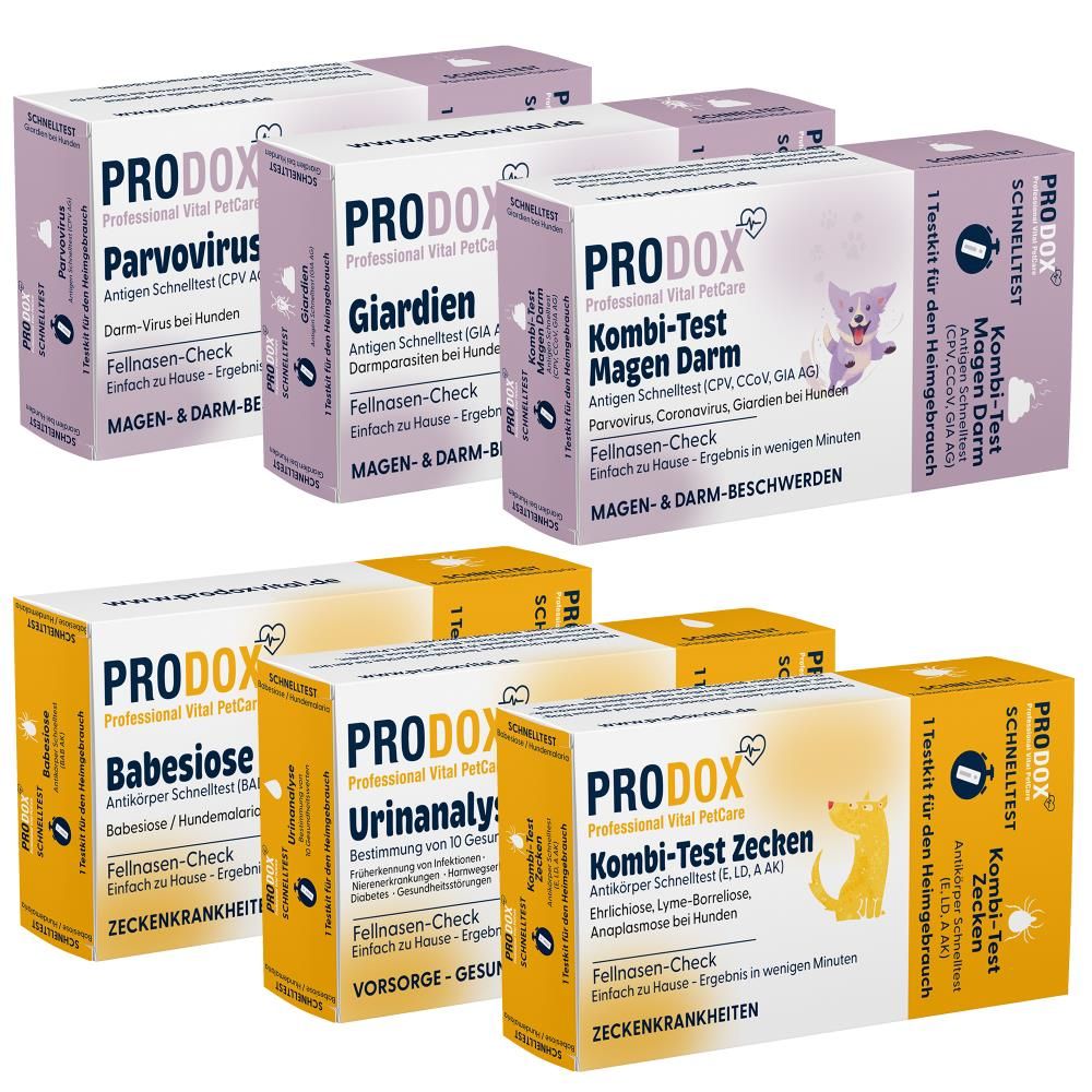 Mehrere PRODOX-Testkits. Verschiedene Produktnamen auf gelben und weißen Verpackungen. Mit Hundegrafiken.