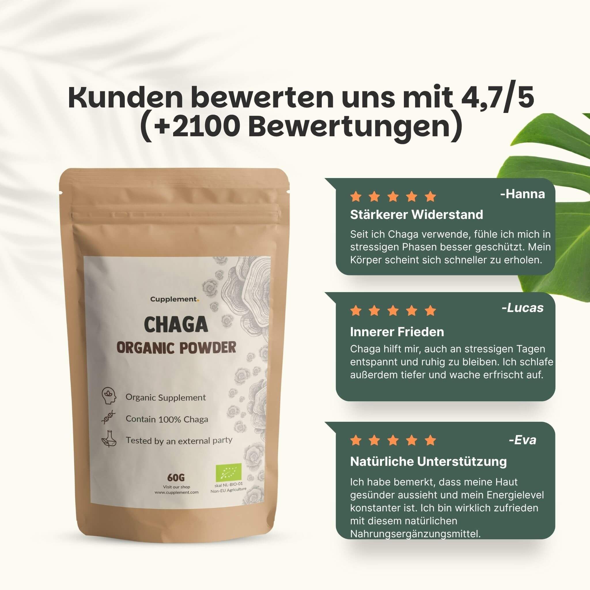 Diagramm mit Chaga-Pulver. Text: 100% natürlich, keine Füllstoffe, vegan, biologisch. Mit EU-Bio-Logo.