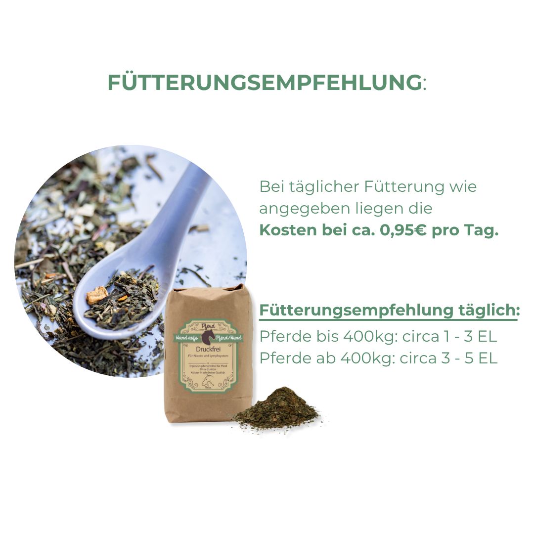 Braune Papiertüte mit Produktetikett und Kräutermischung, daneben ein Löffel. Text: Fütterungsempfehlung. Kosten ca. 0,95€ pro Tag. Fütterungsempfehlung täglich.