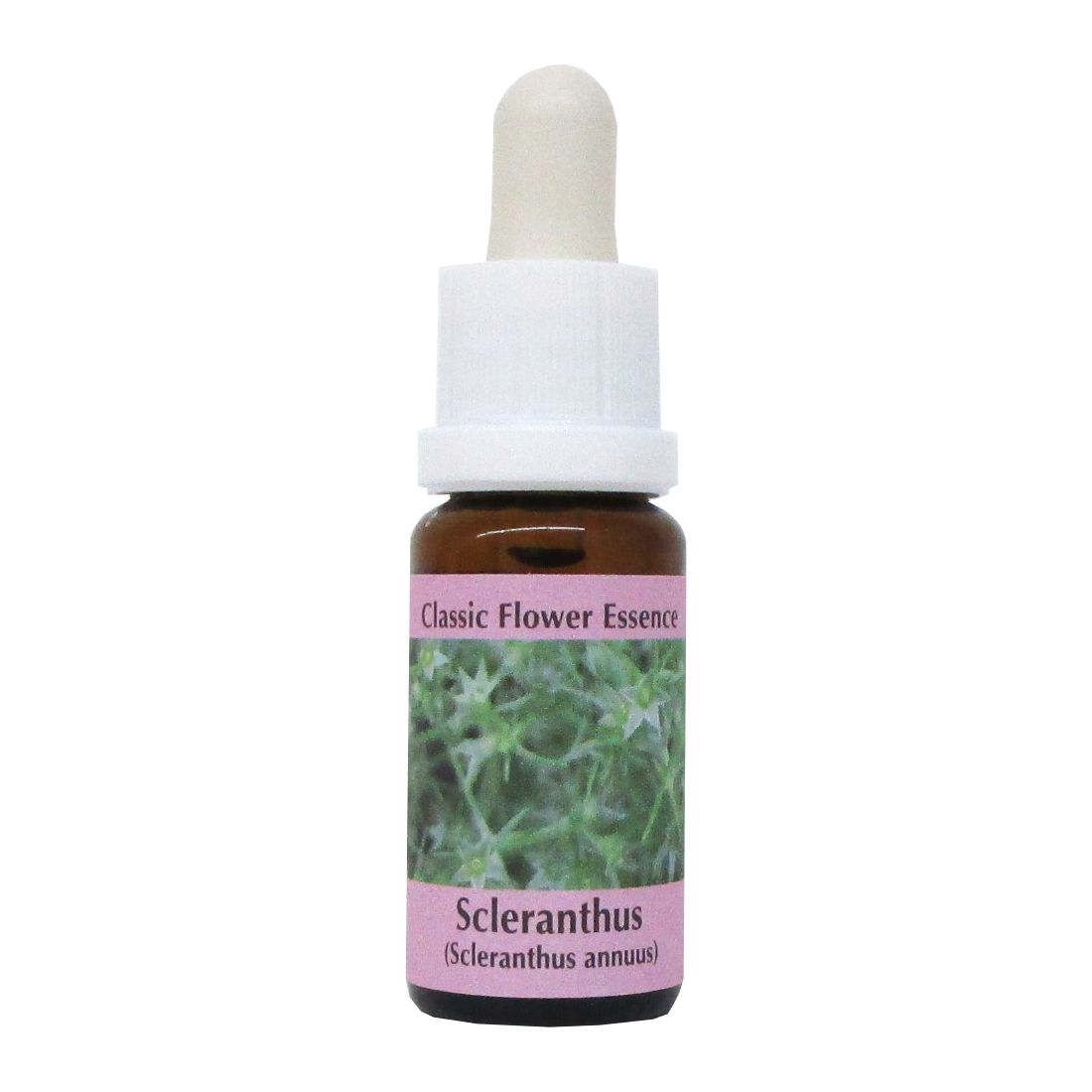 PHI Essences - Scleranthus Bachblüte Nr. 28