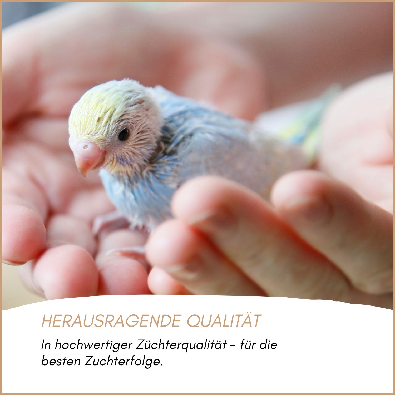 Supravit Supra-Gritmineral Premium Vogelgrit & Mineralfutter für Vögel