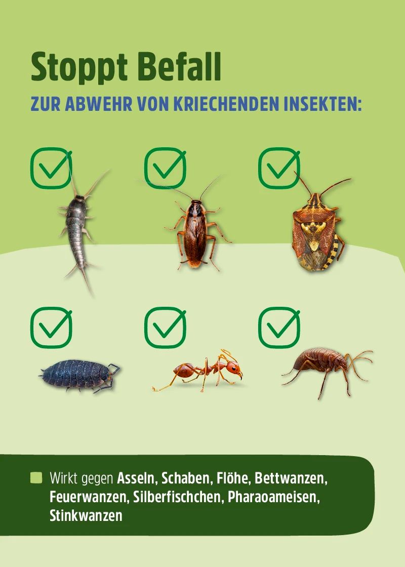 Infografik mit Insektenabbildungen und Text. Zeigt Insekten, gegen die das Produkt wirkt: Asseln, Schaben, Flöhe, etc.