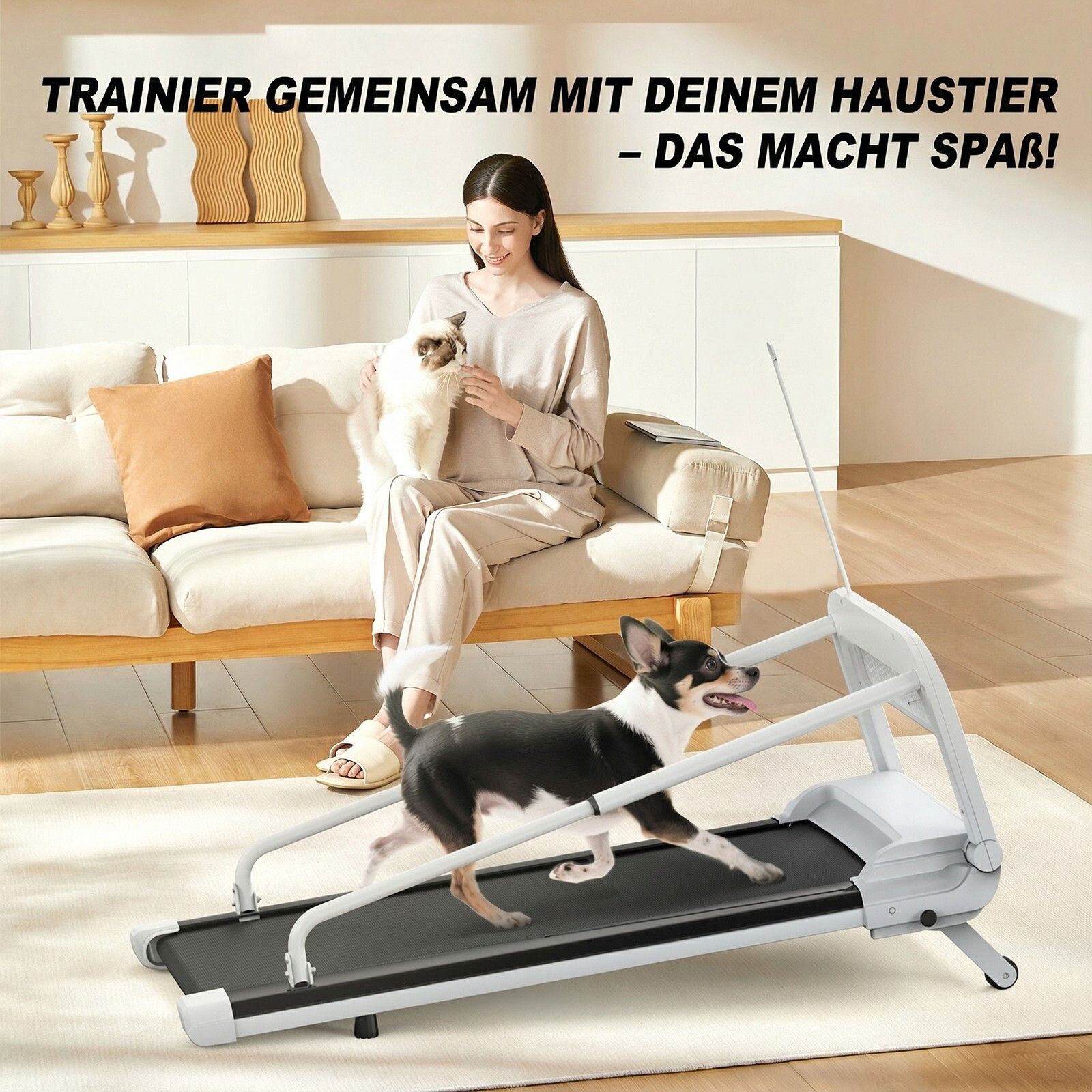 Hundelaufband mit Frau und Hund. Weißes Gestell, schwarze Lauffläche. Frau sitzt auf Sofa mit Katze.